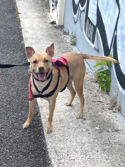 Kimberly — thumbnail 4