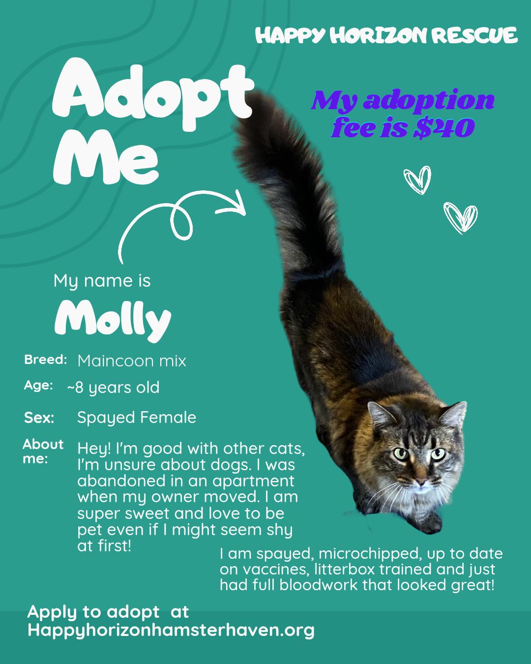 Enlarge Molly, an adopted mixed breed in West Chester, OH image 1/2