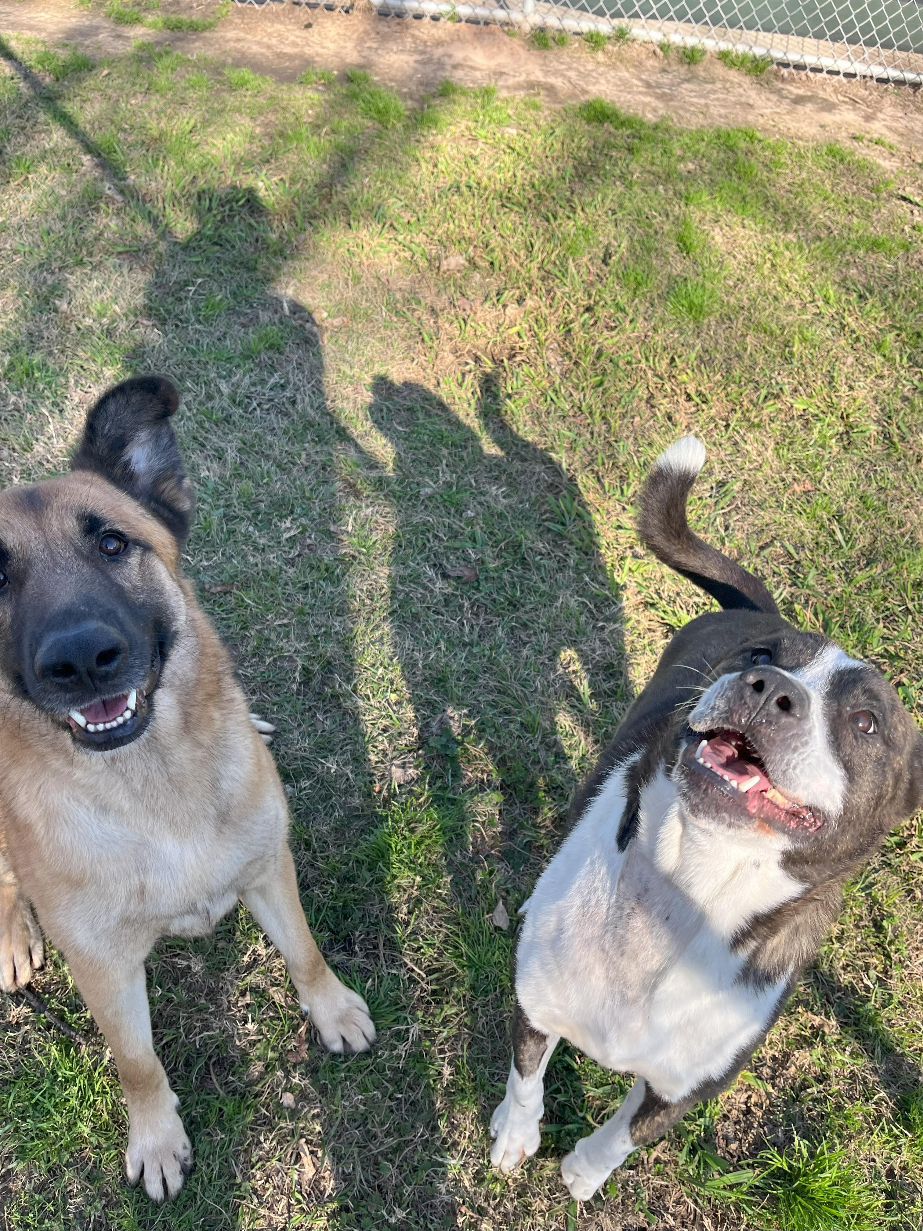 Lasso — thumbnail 2