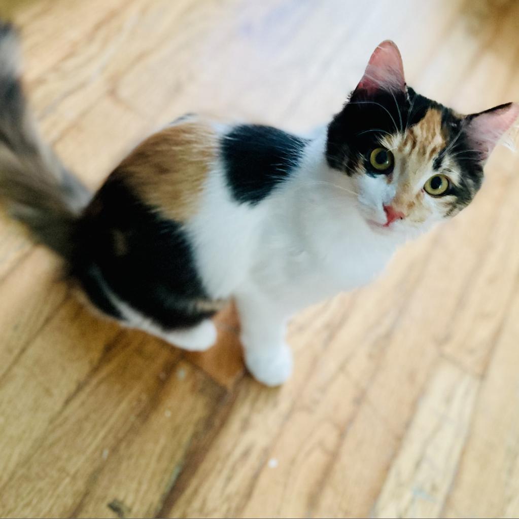 Colby — thumbnail 2