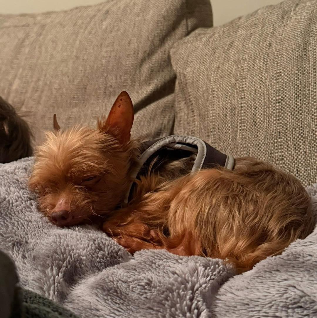 Newman