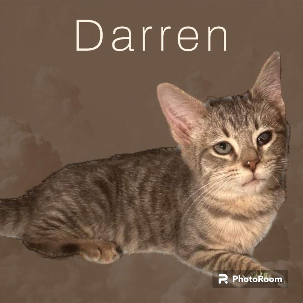 Darren — thumbnail 2