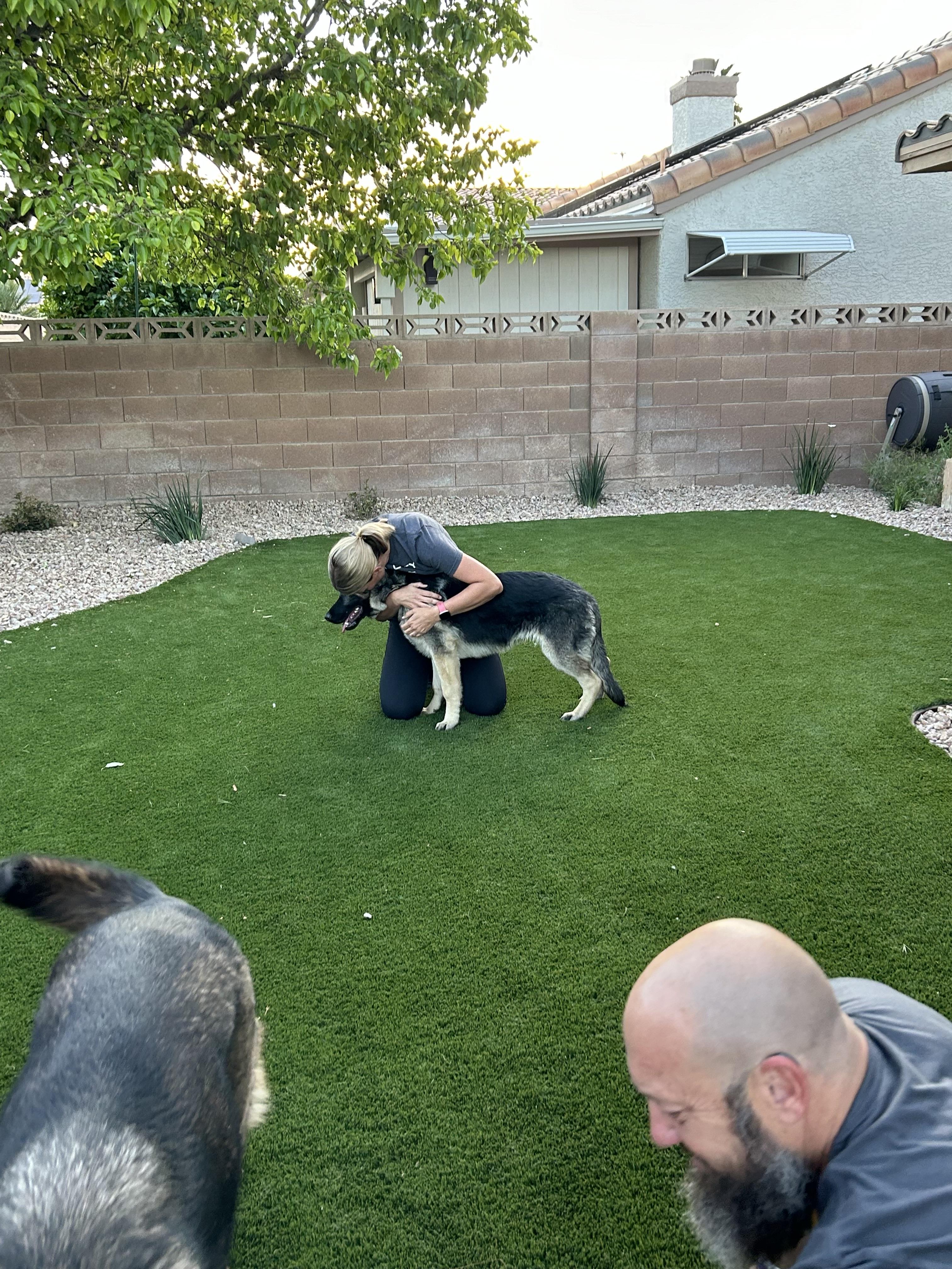 Enlarge Bear, a Adopted mixed breed in Las Vegas, NV image 5/5