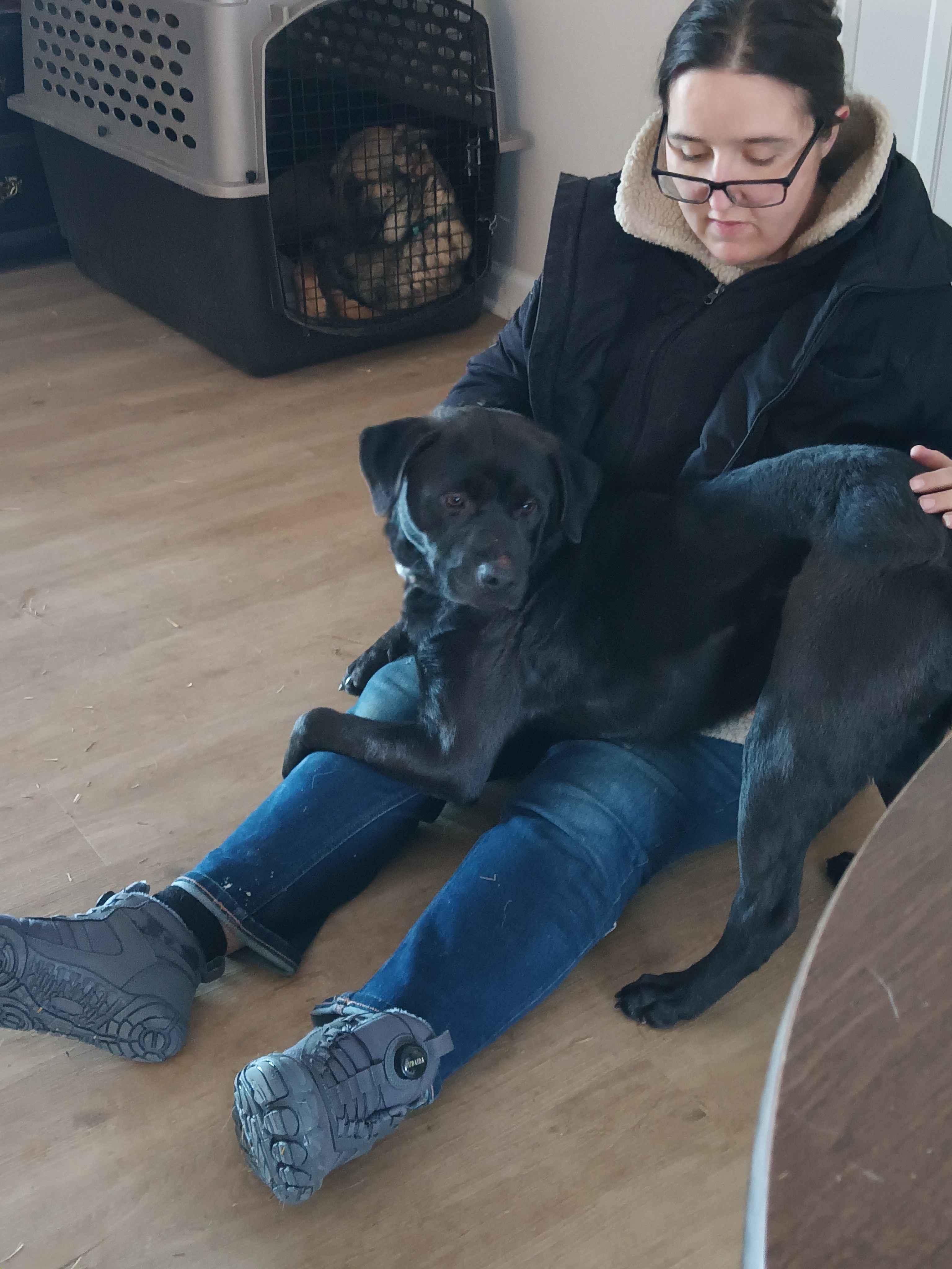 Enlarge Snoop, an adopted Black Labrador Retriever in Roanoke, VA image 2/2