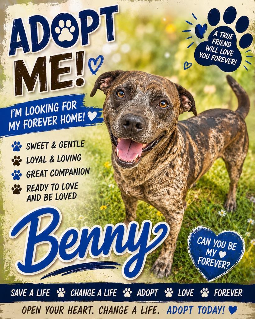 Enlarge Benny, a Adoptable mixed breed in Shelbyville, TN image 2/2
