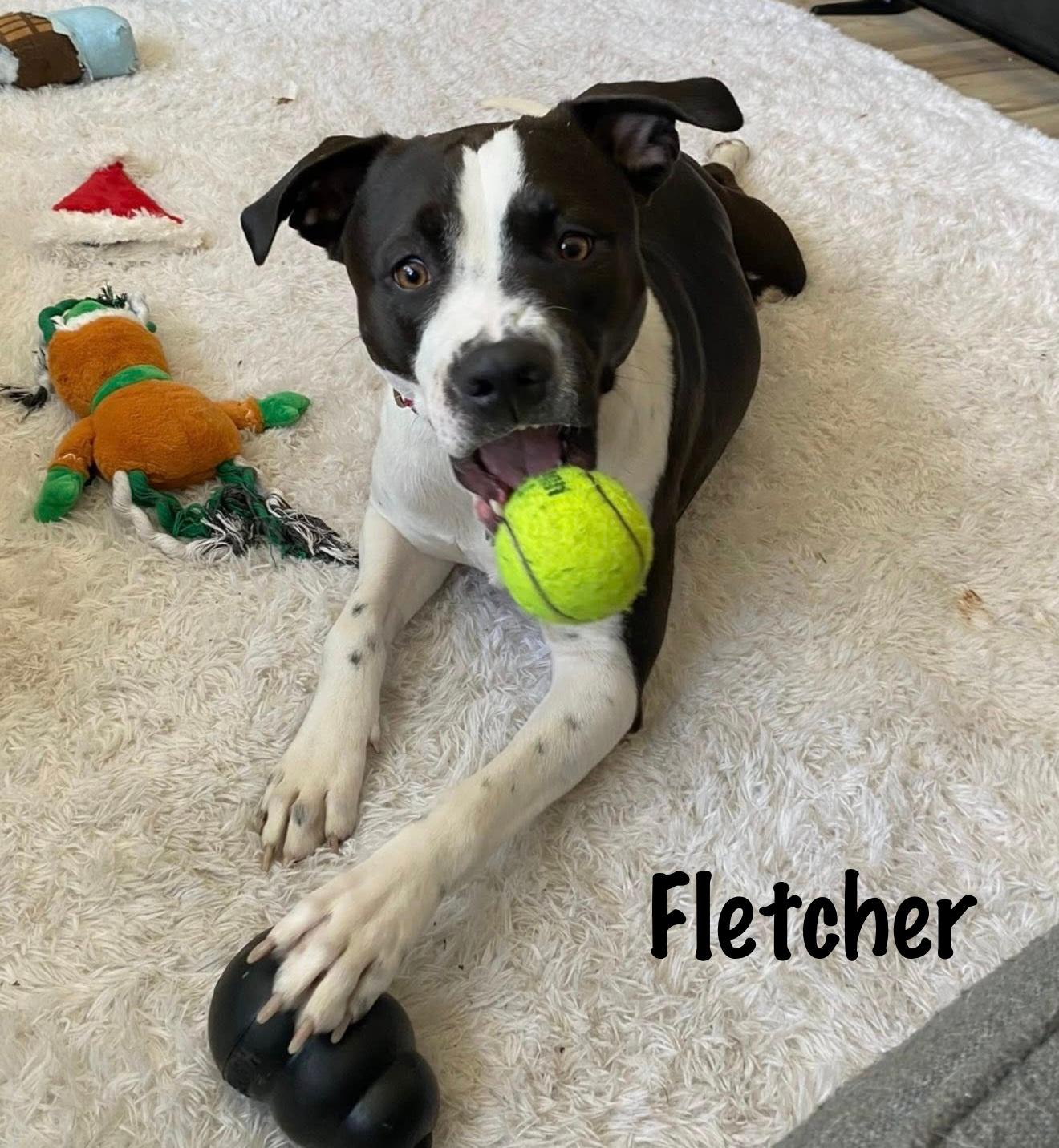 Fletcher