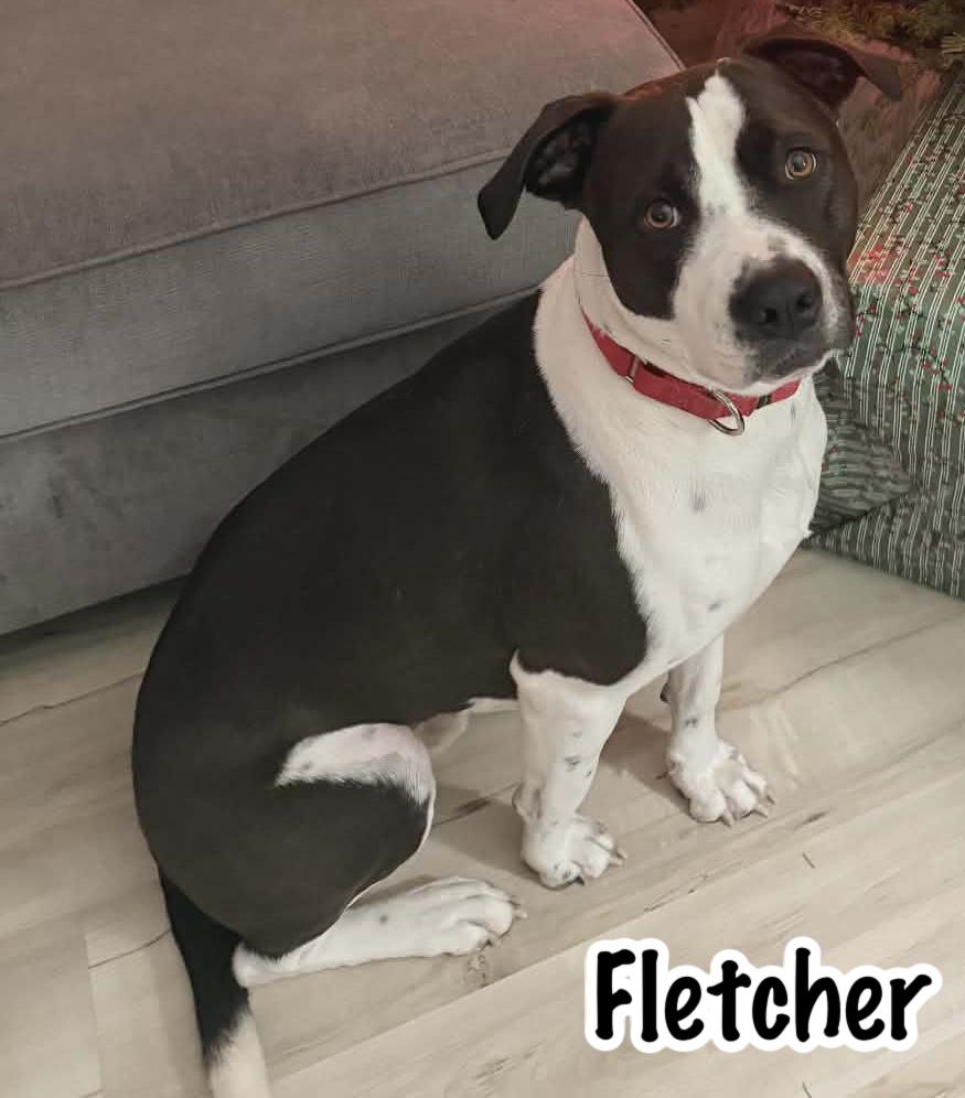 Fletcher — thumbnail 4