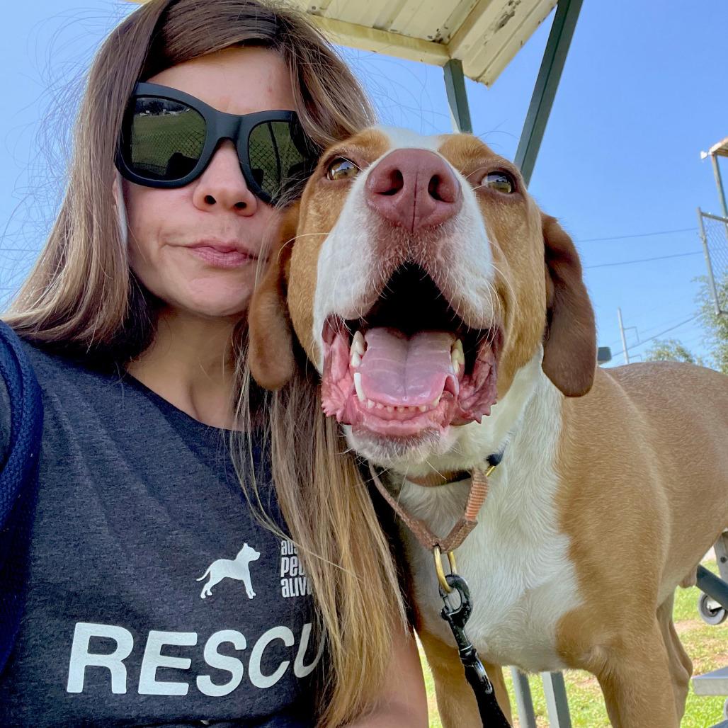 Bandito — thumbnail 4