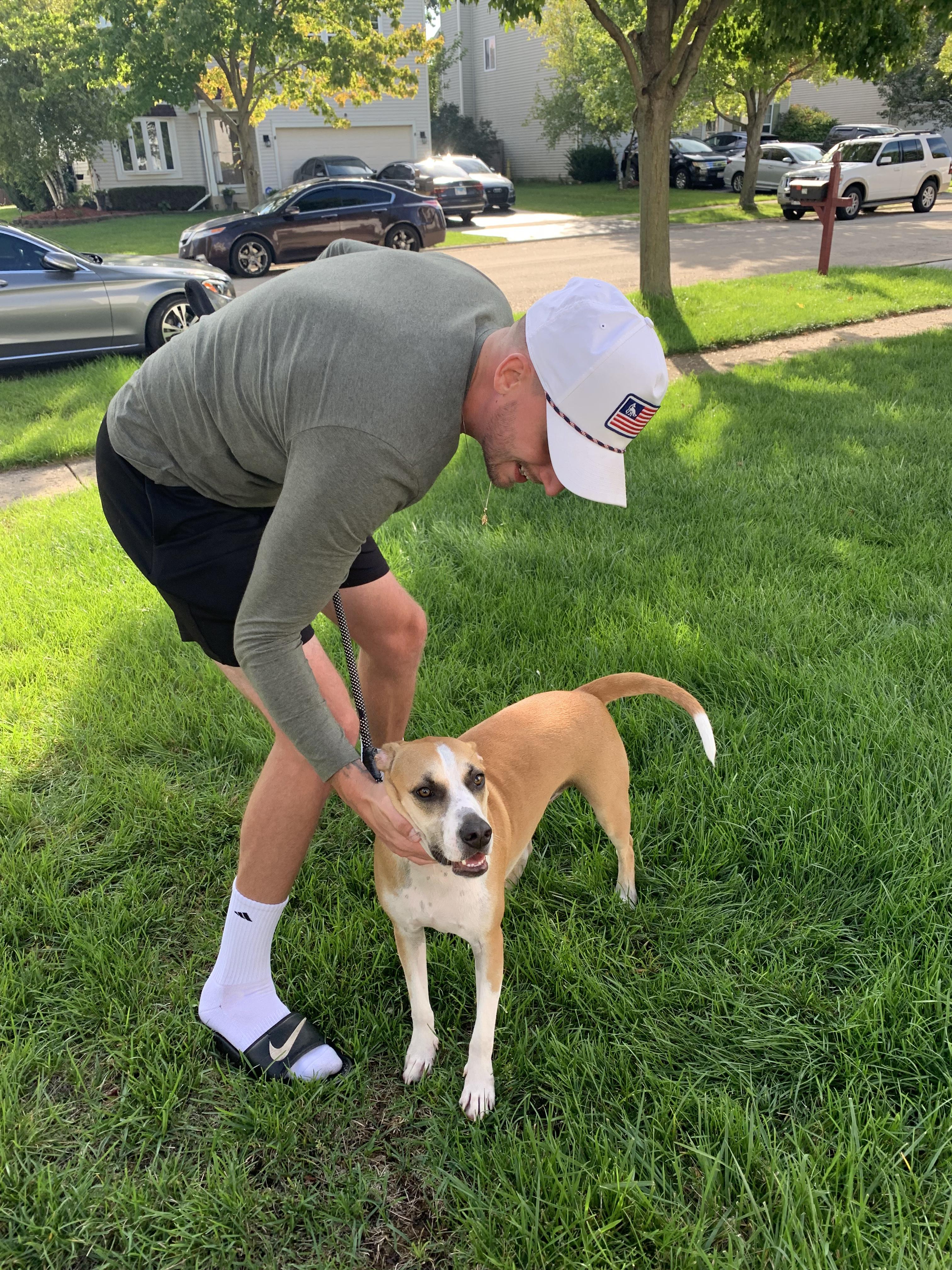 Enlarge Milo-reduced fee!!, a ADOPTABLE mixed breed in Yorkville, IL image 3/3