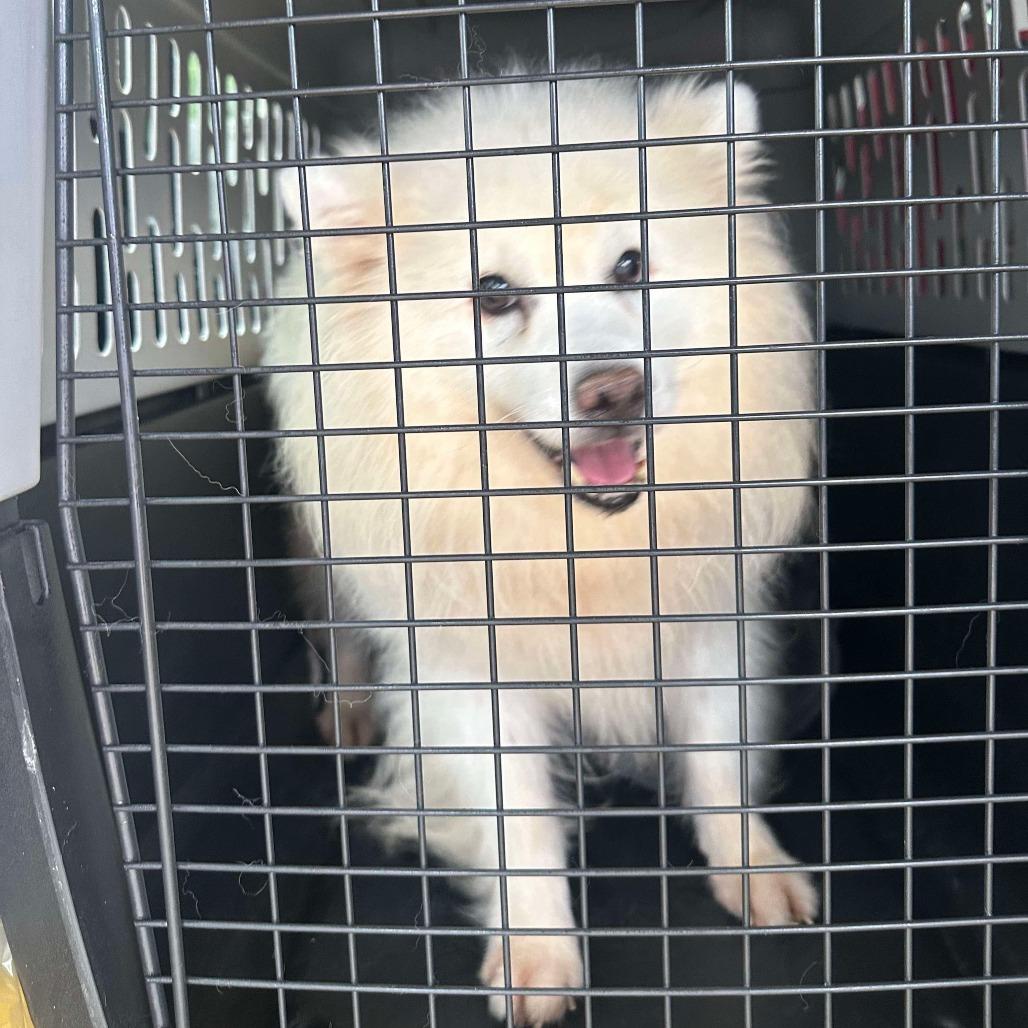 Jack Frost thumbnail 2