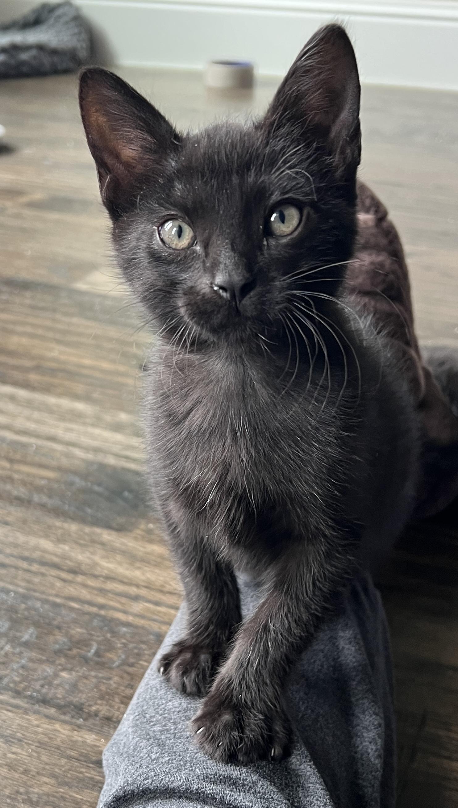 Pablo