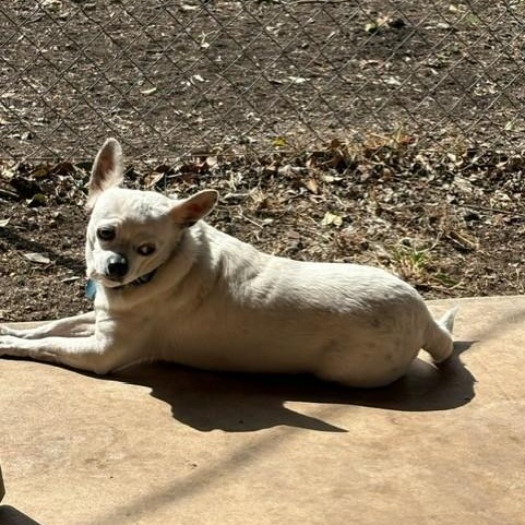 Toby — thumbnail 5