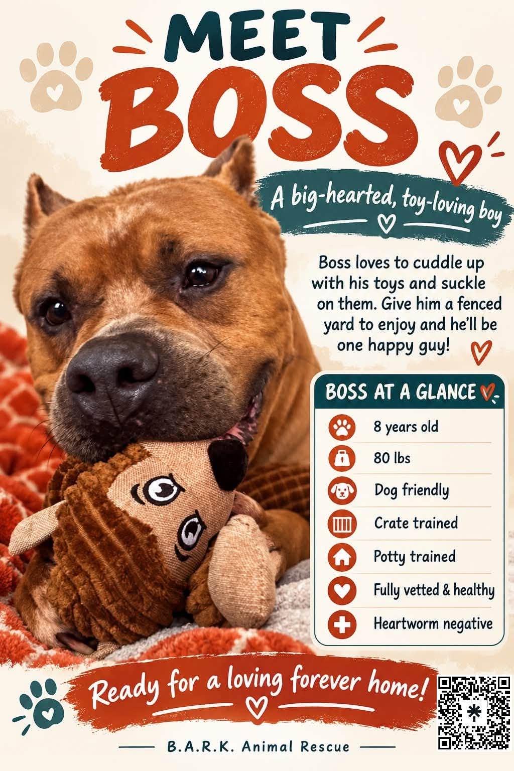 Enlarge Boss, a Adoptable mixed breed in Palm Bay, FL image 6/6