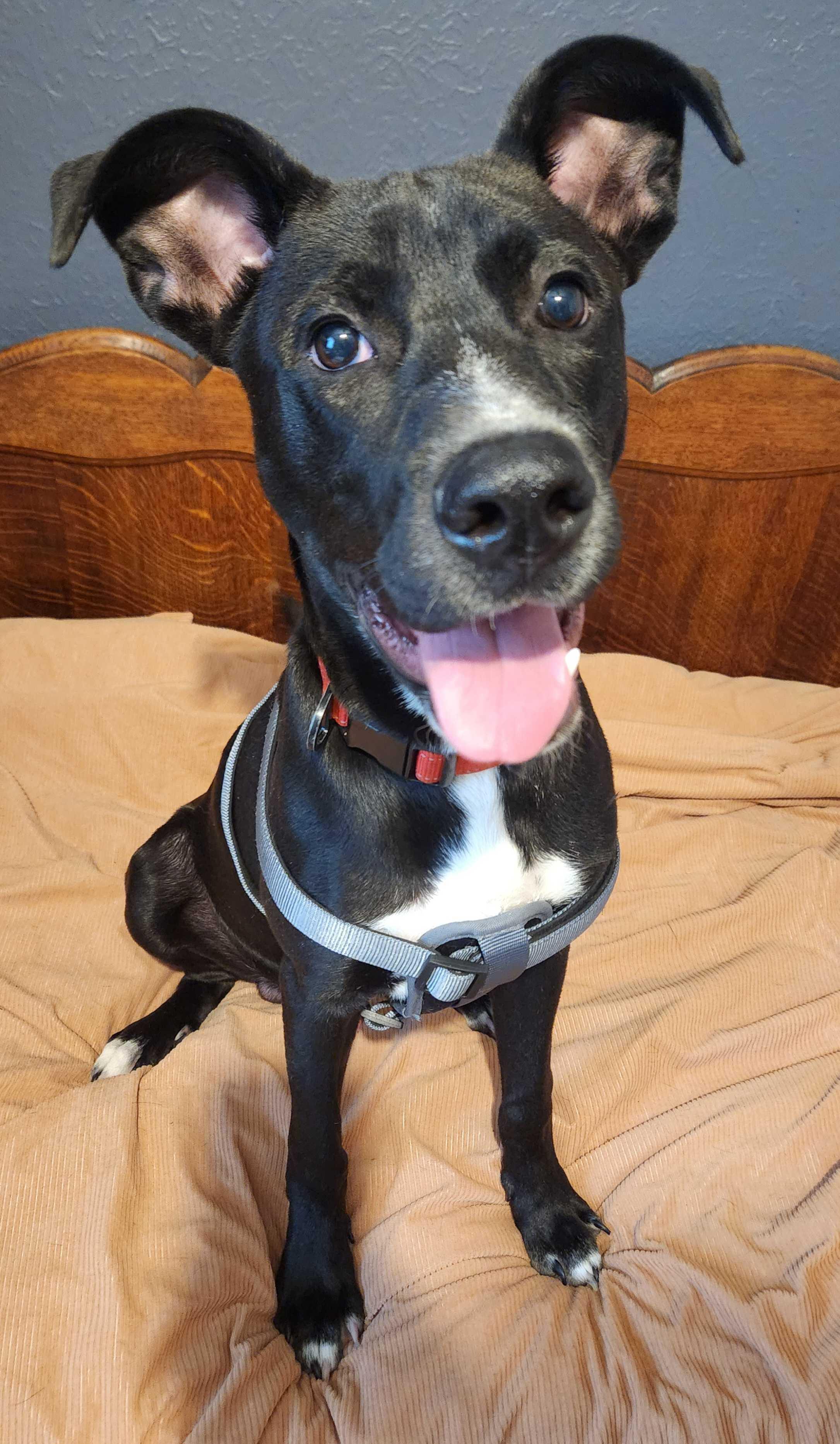Gus photo