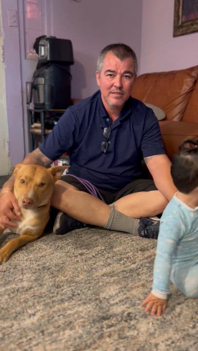 Enlarge ATHENA, a Adoptable mixed breed in Tacoma , WA video 2/6