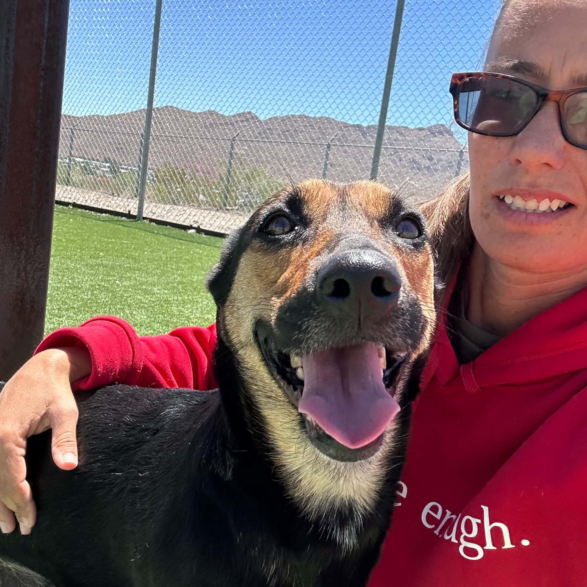 Dara, a ADOPTABLE mixed breed in Truth or Consequences , NM image 5/6