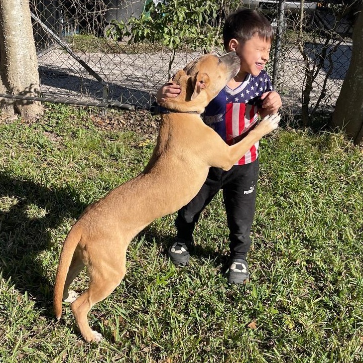 Bear — thumbnail 3