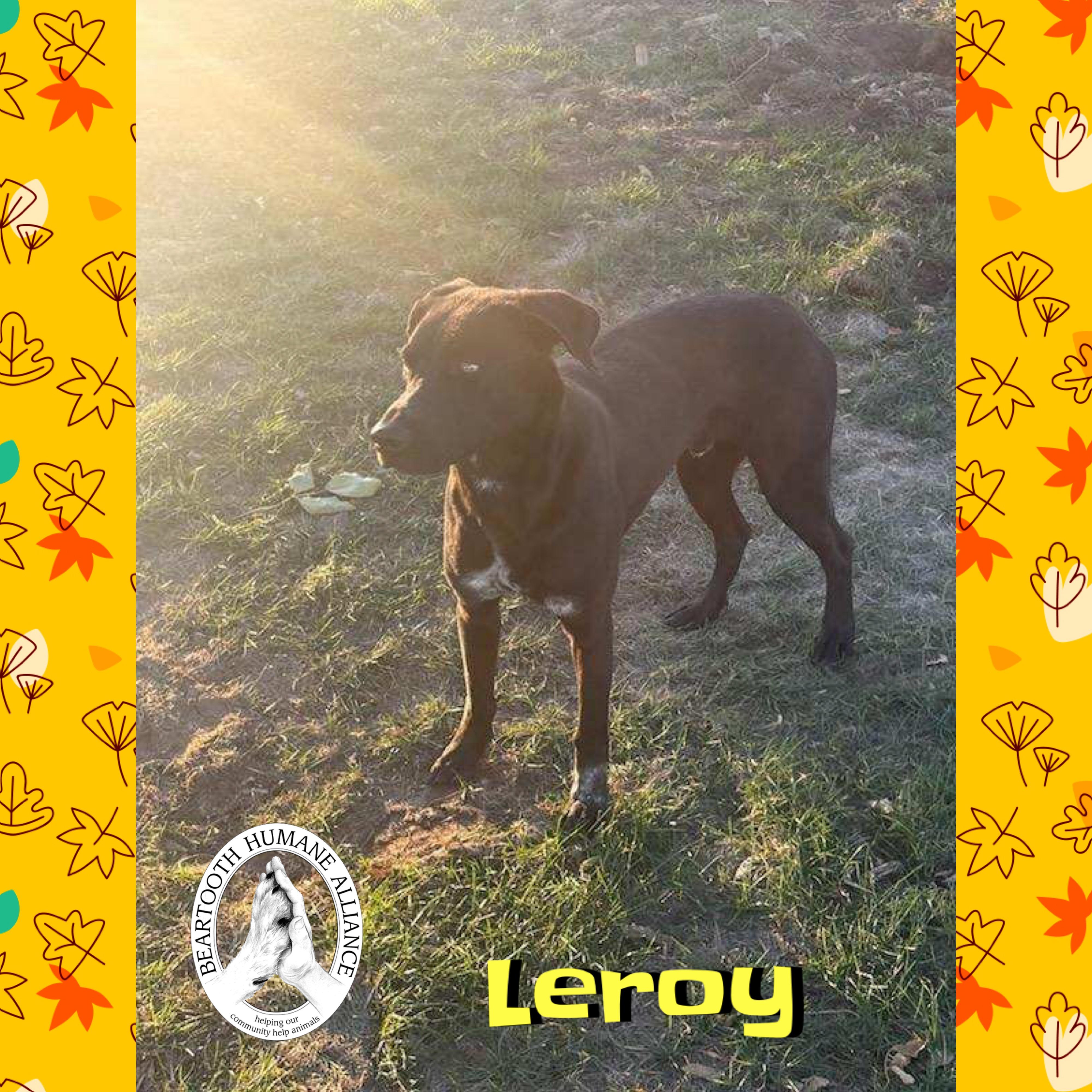 Leroy
