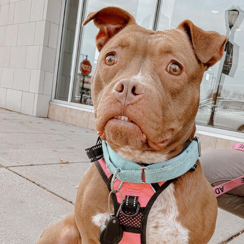 Wiggleworm thumbnail 3