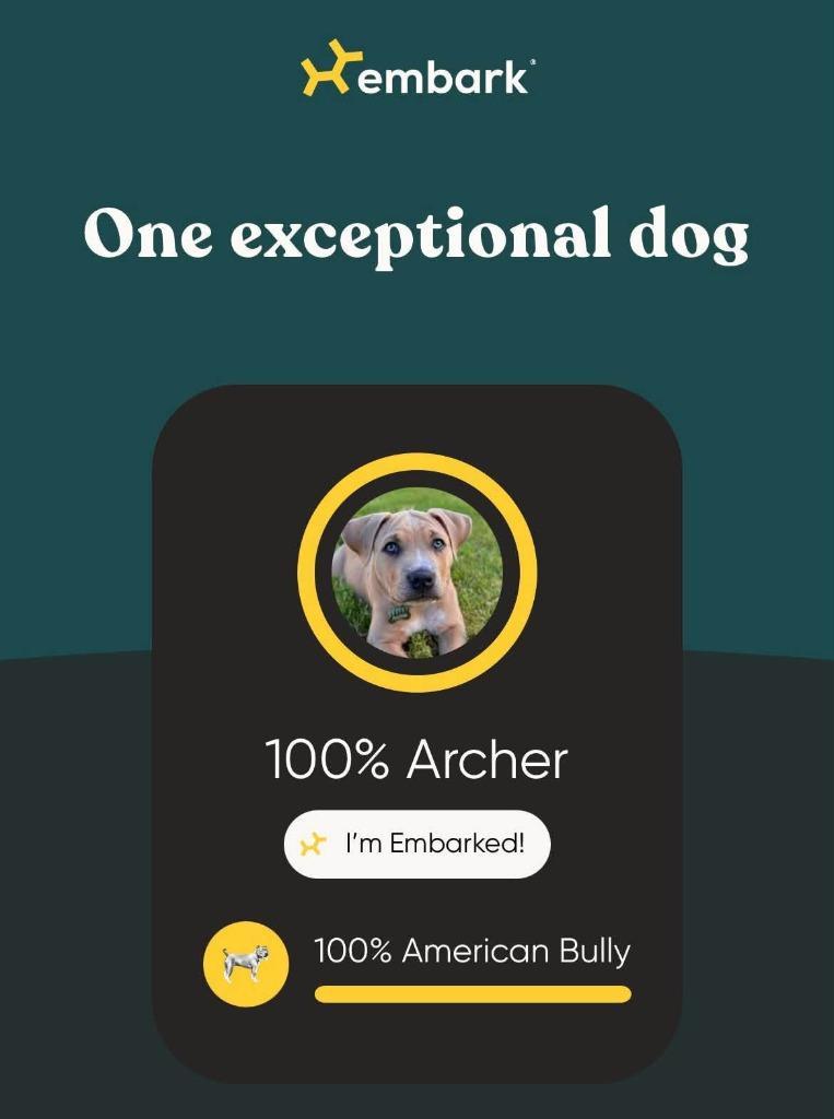 Enlarge Poached, a Adoptable mixed breed in Phoenix, AZ image 3/6