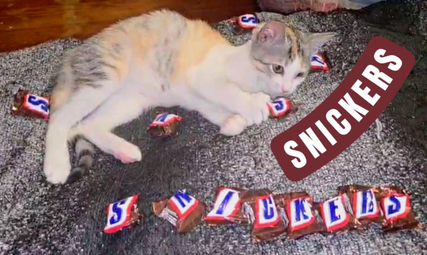 Snickers