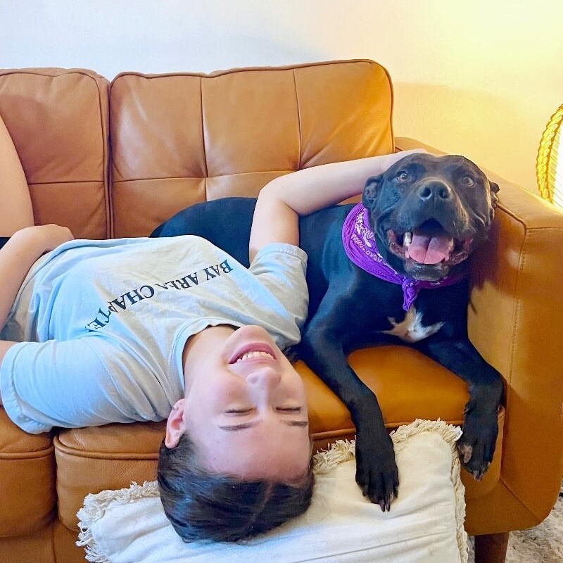 Polly Anna the Princess of lap snuggles and giggles — thumbnail 3