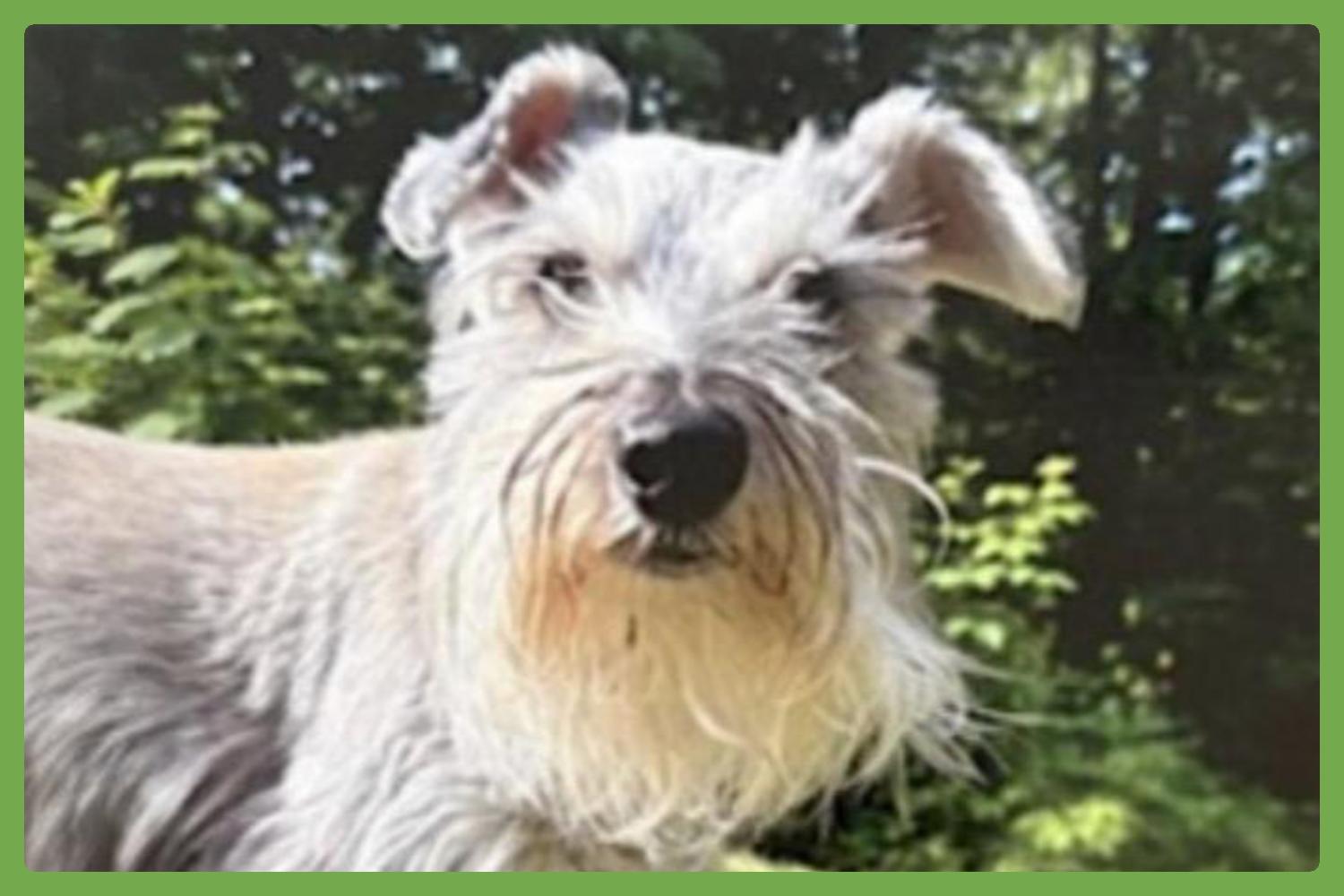 Marvel — thumbnail 4