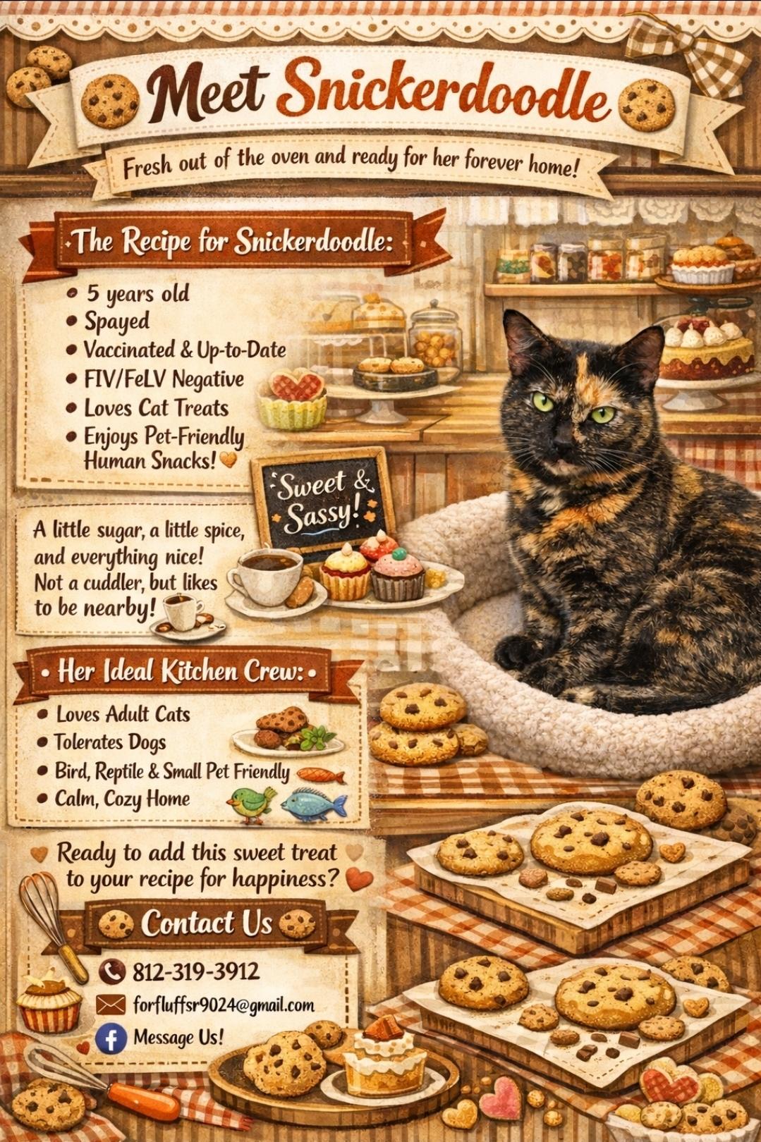 Snickerdoodle, a Adoptable Tortoiseshell in Central City, KY image 2/2