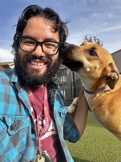 Bella, Adoptable, Adult Female Mixed Breed & Mixed Breed.