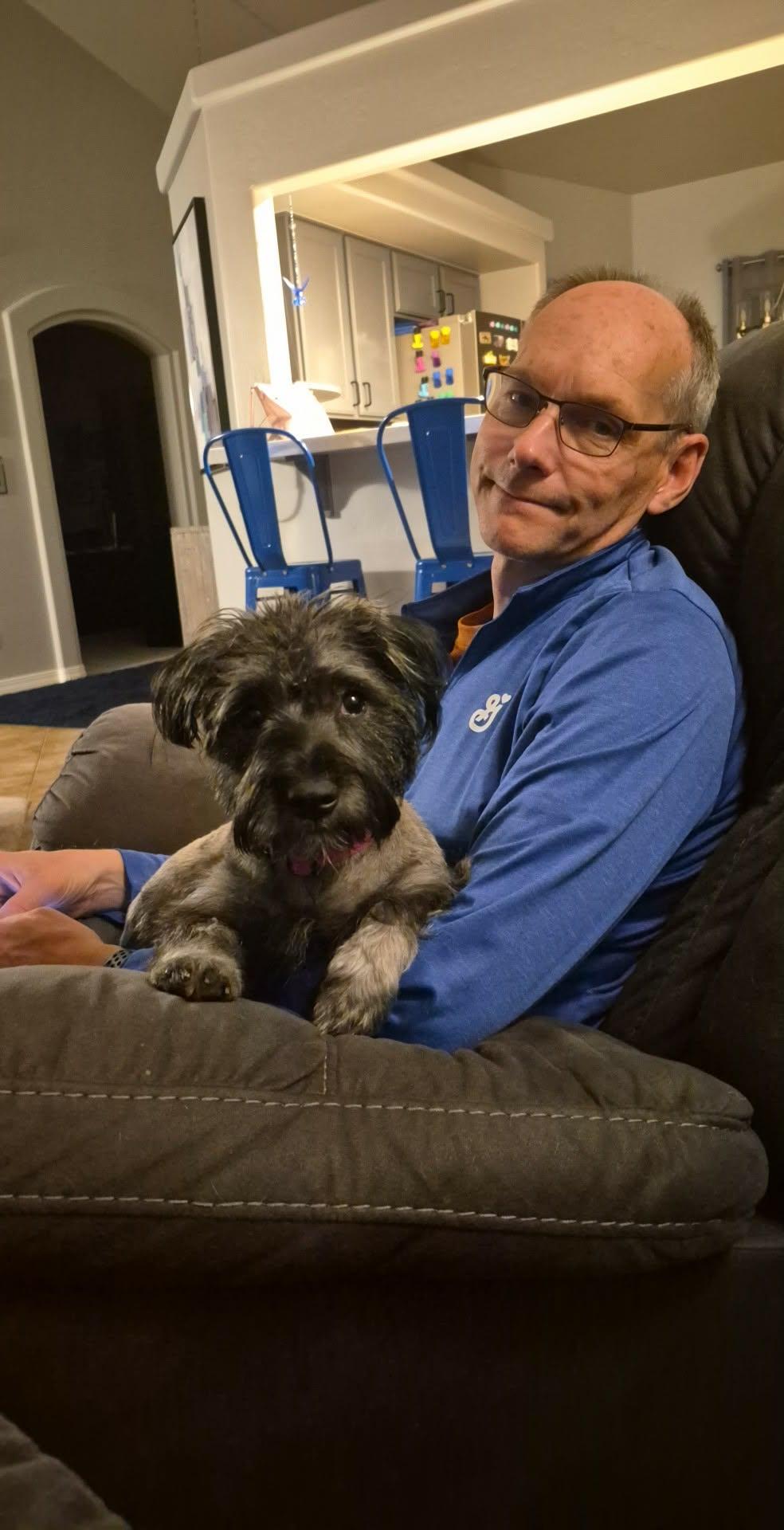 Nelly, an adopted Miniature Schnauzer in Homer Glen, IL image 6/6