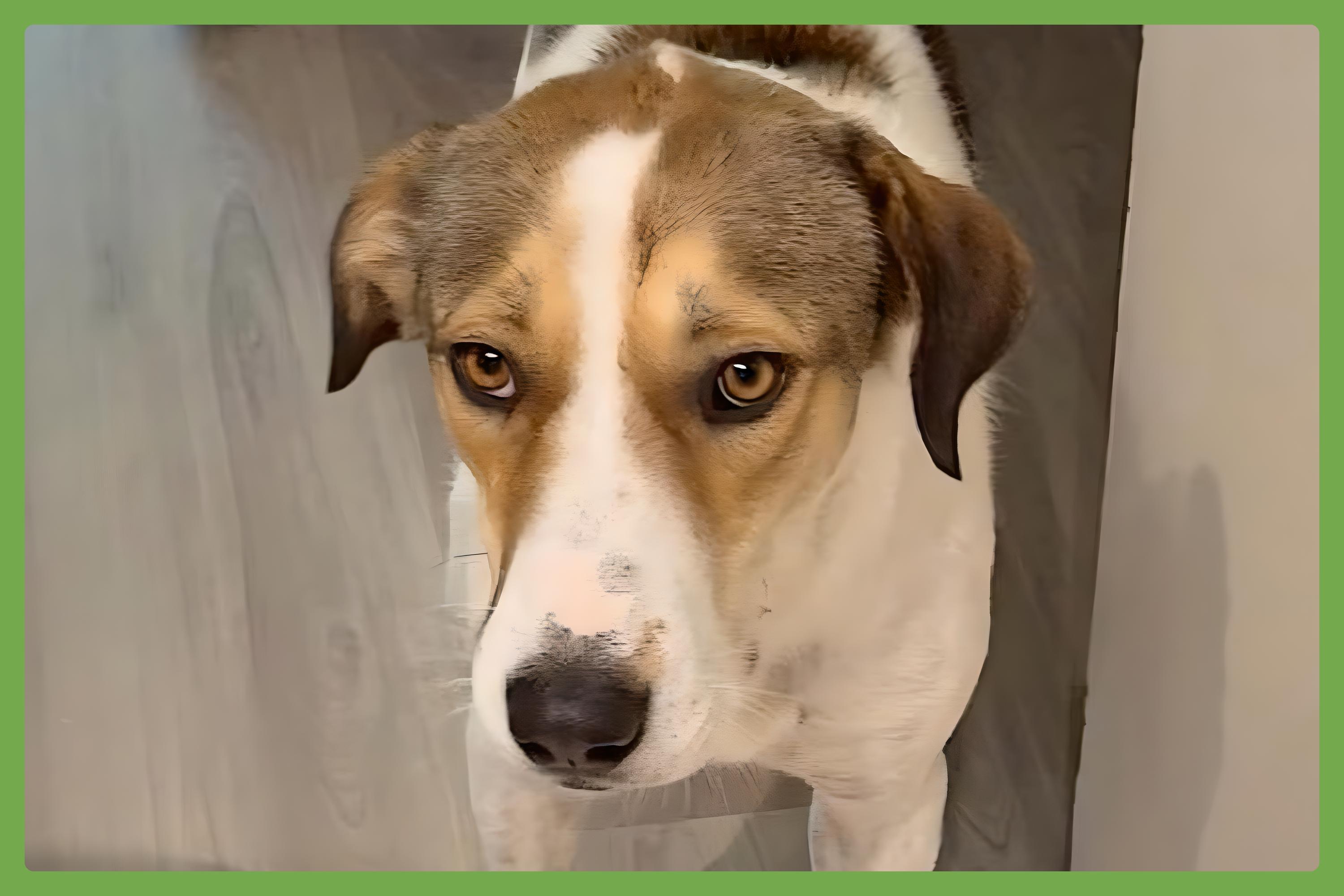 Jimmy — thumbnail 5