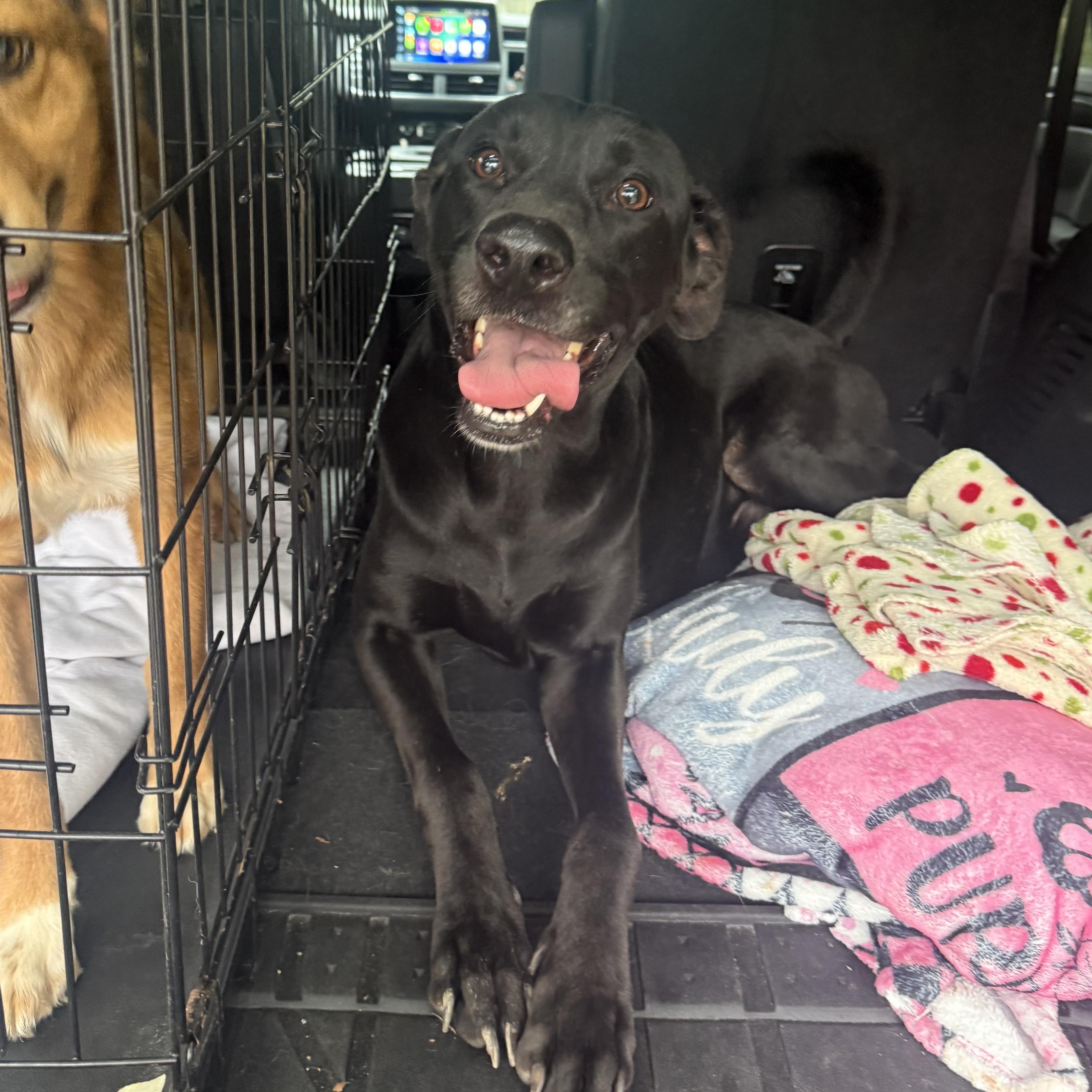 LUCKY BOY — thumbnail 4