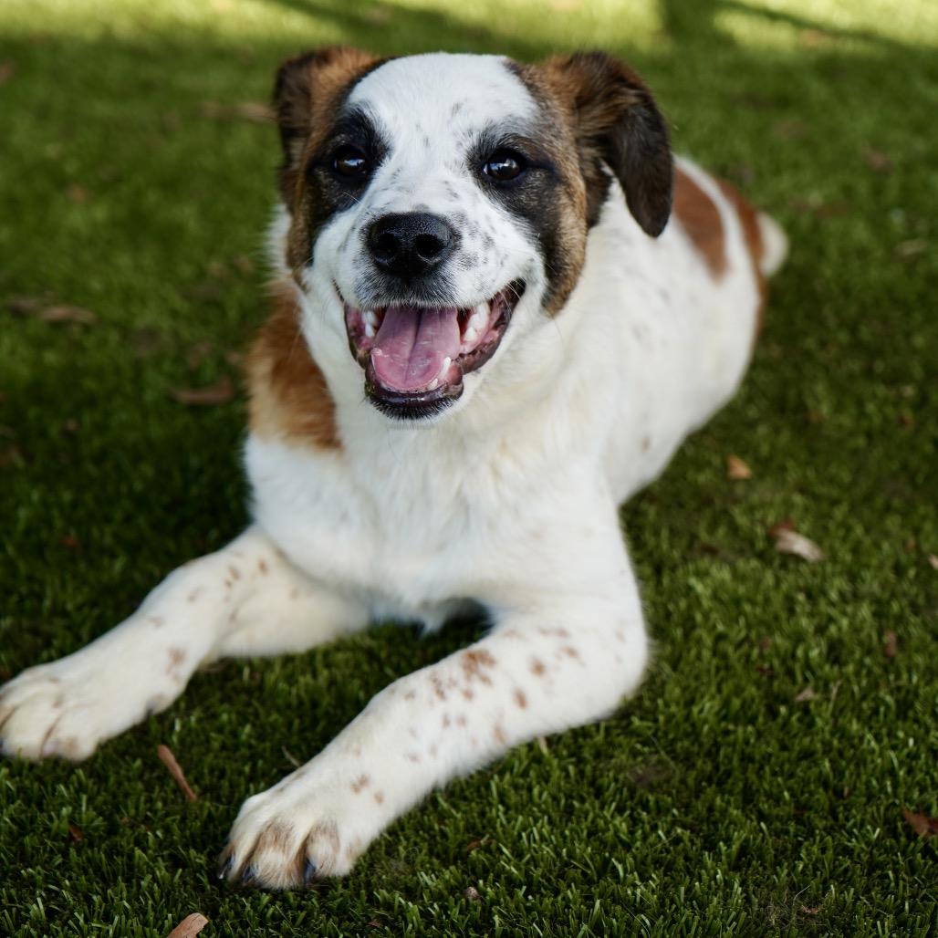 Anastasia — thumbnail 3