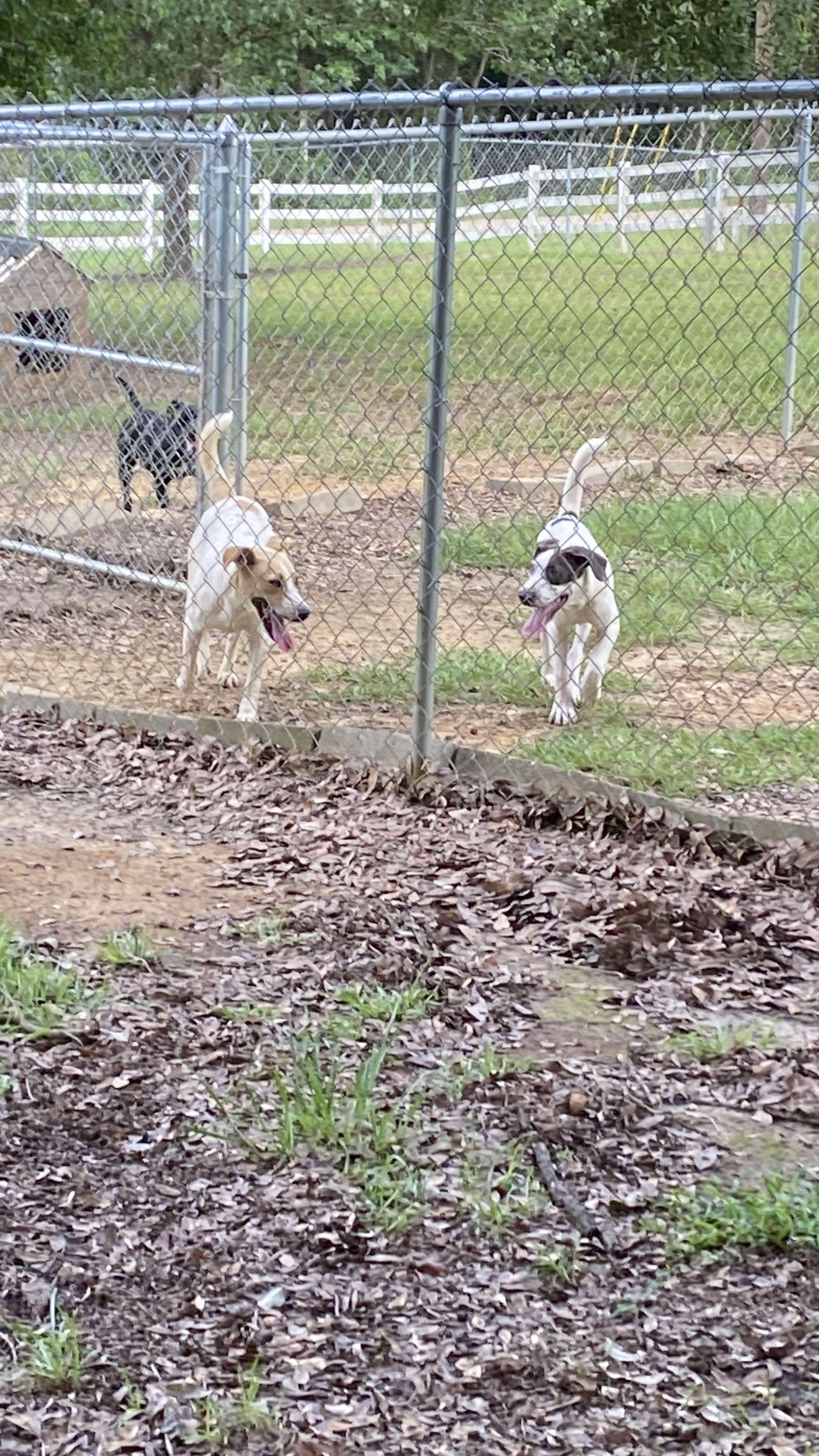 Tucker photo 3