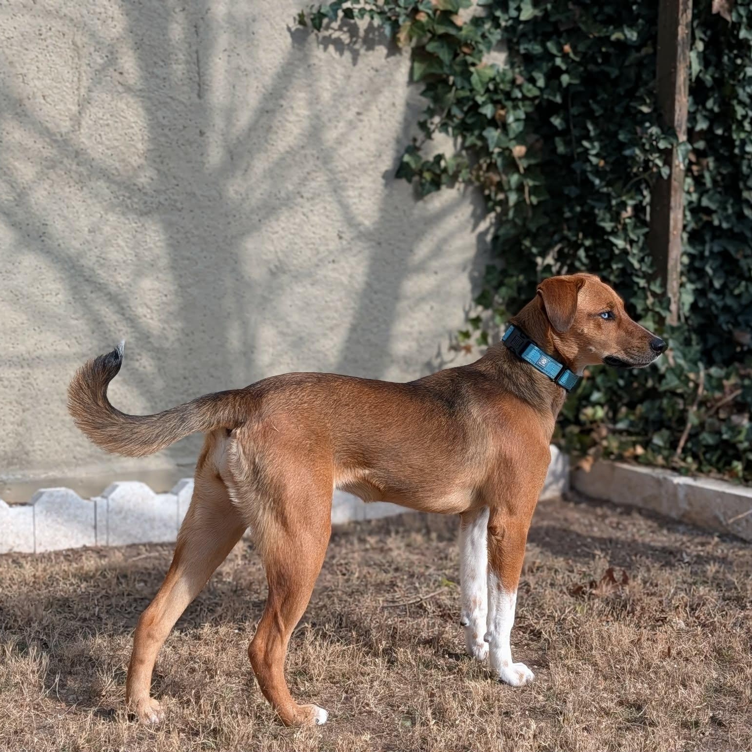 Kajal — thumbnail 4