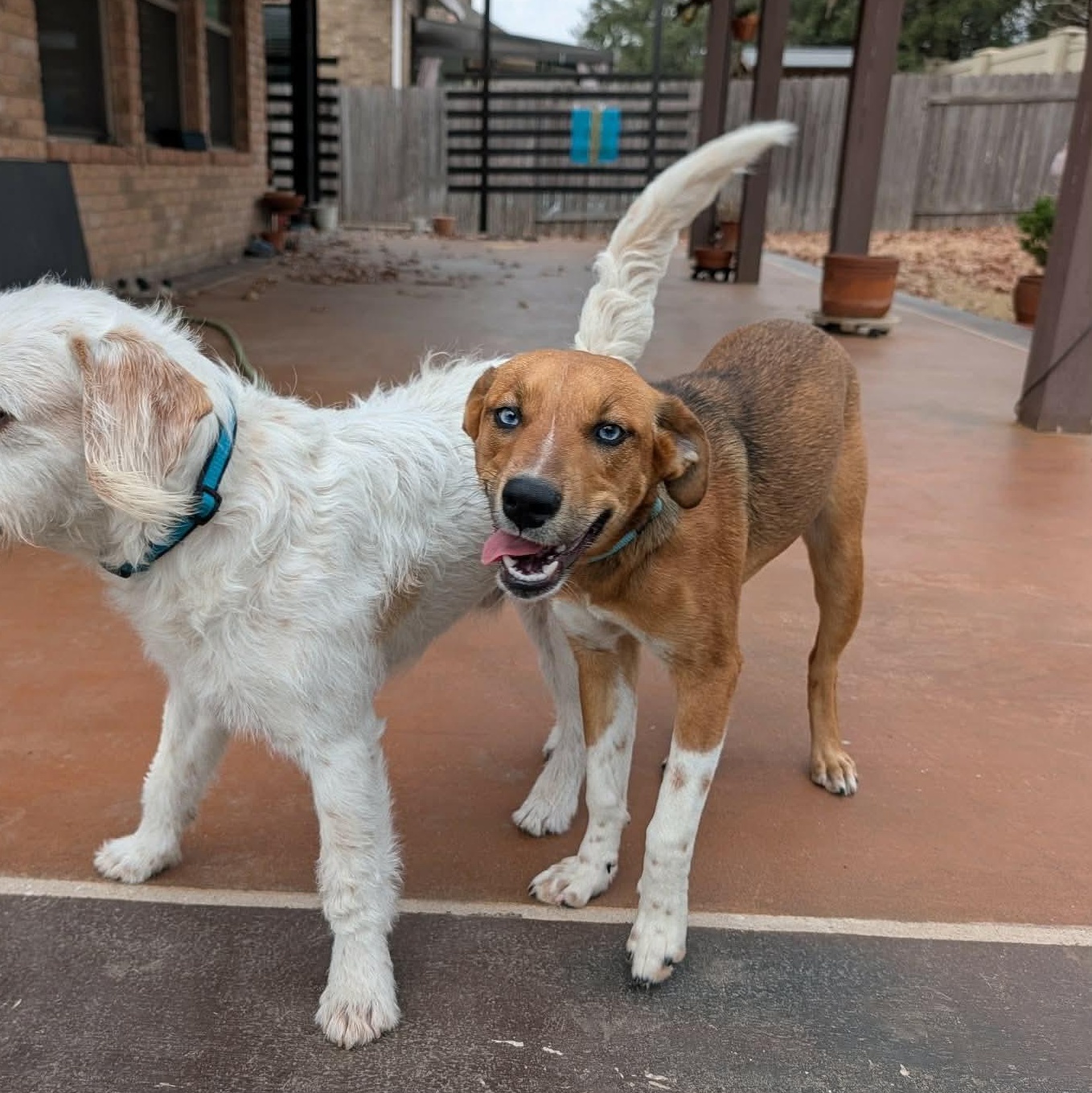 Kajal — thumbnail 5