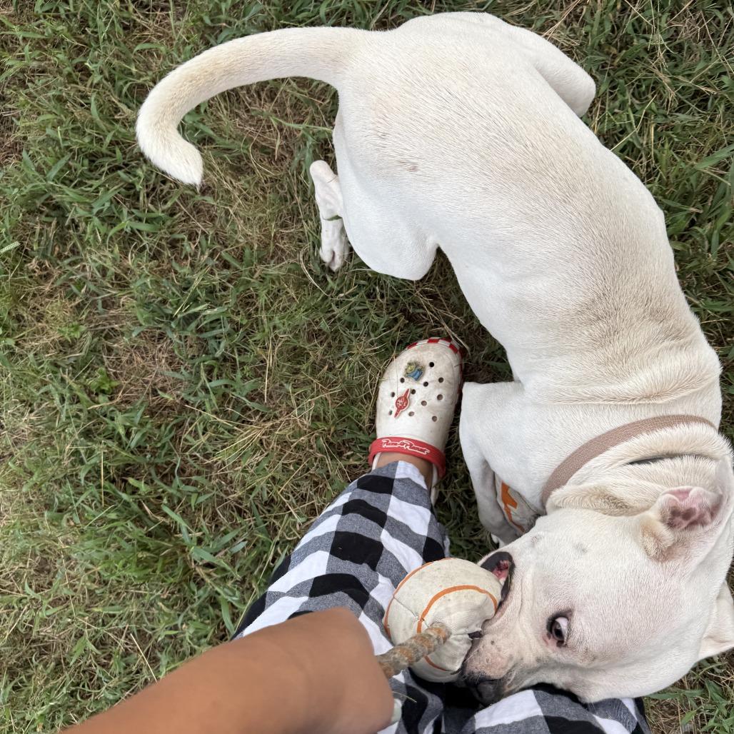 Winnie — thumbnail 2