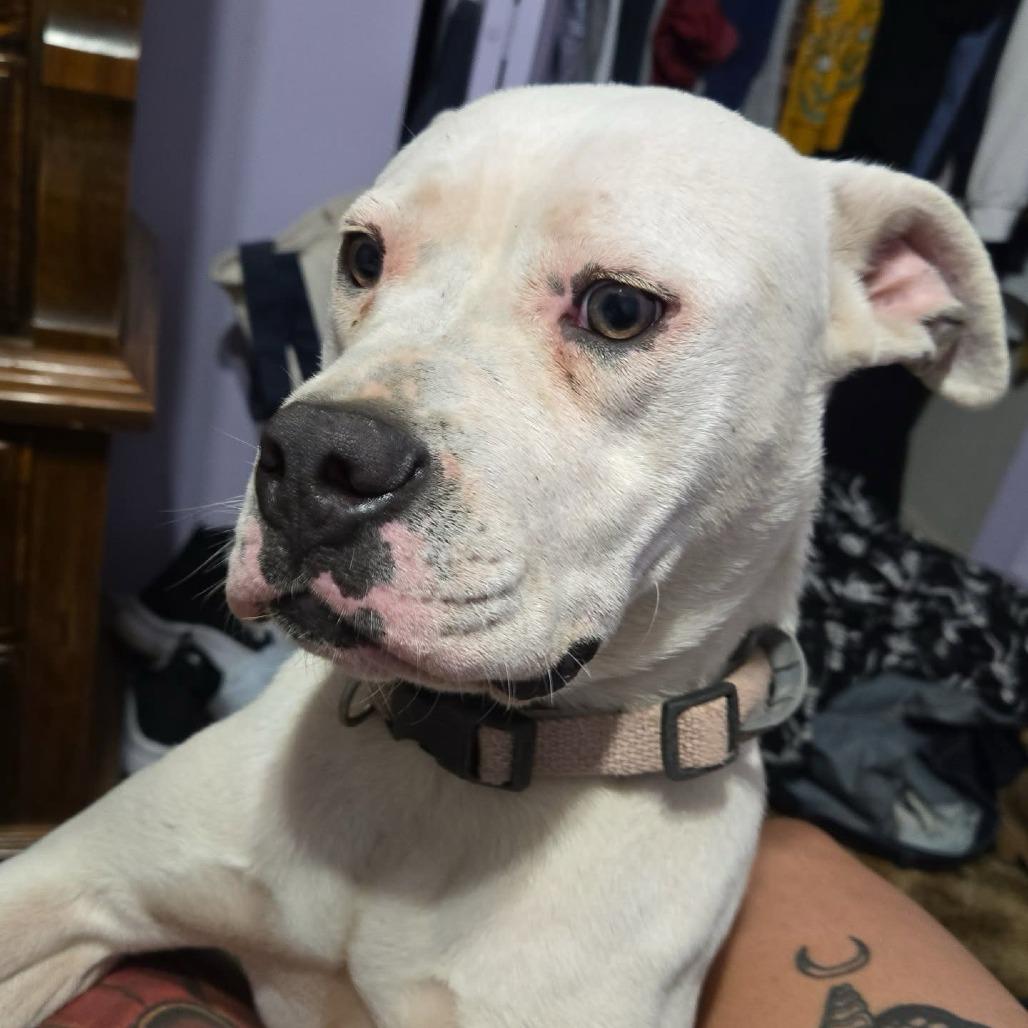 Winnie — thumbnail 3