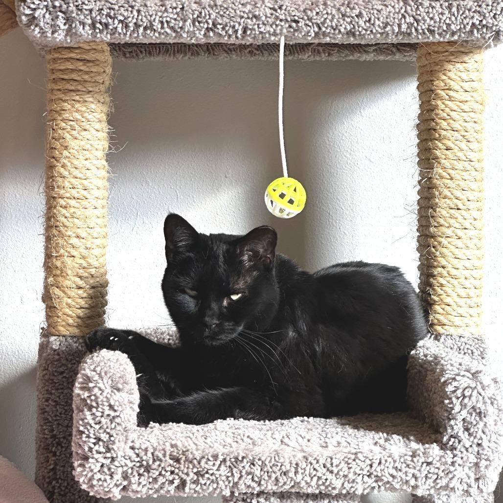 Mitzi — thumbnail 2