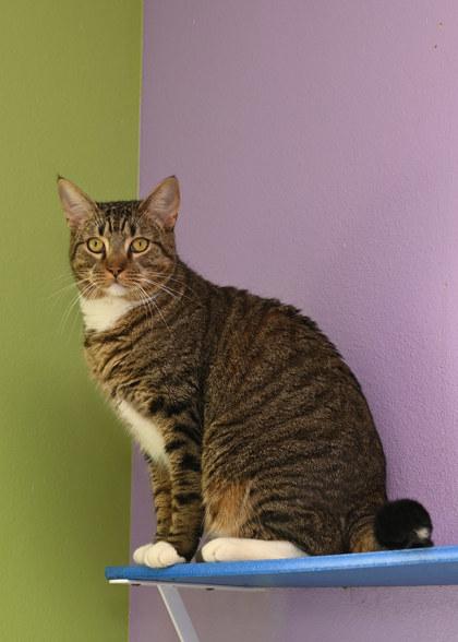 Max