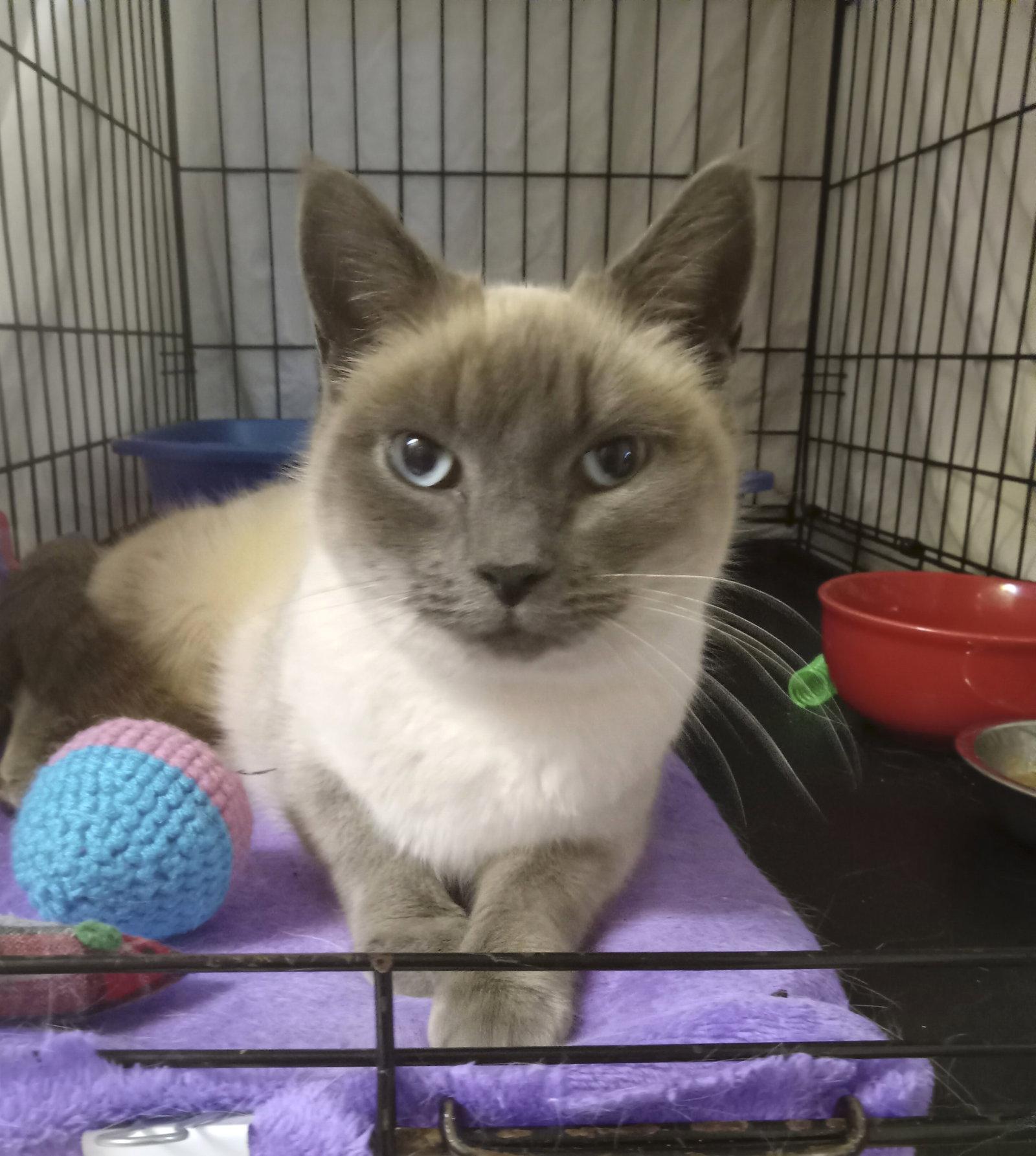 Lilac, Willow Grove PA 01/27/2026 - 111 Area photo