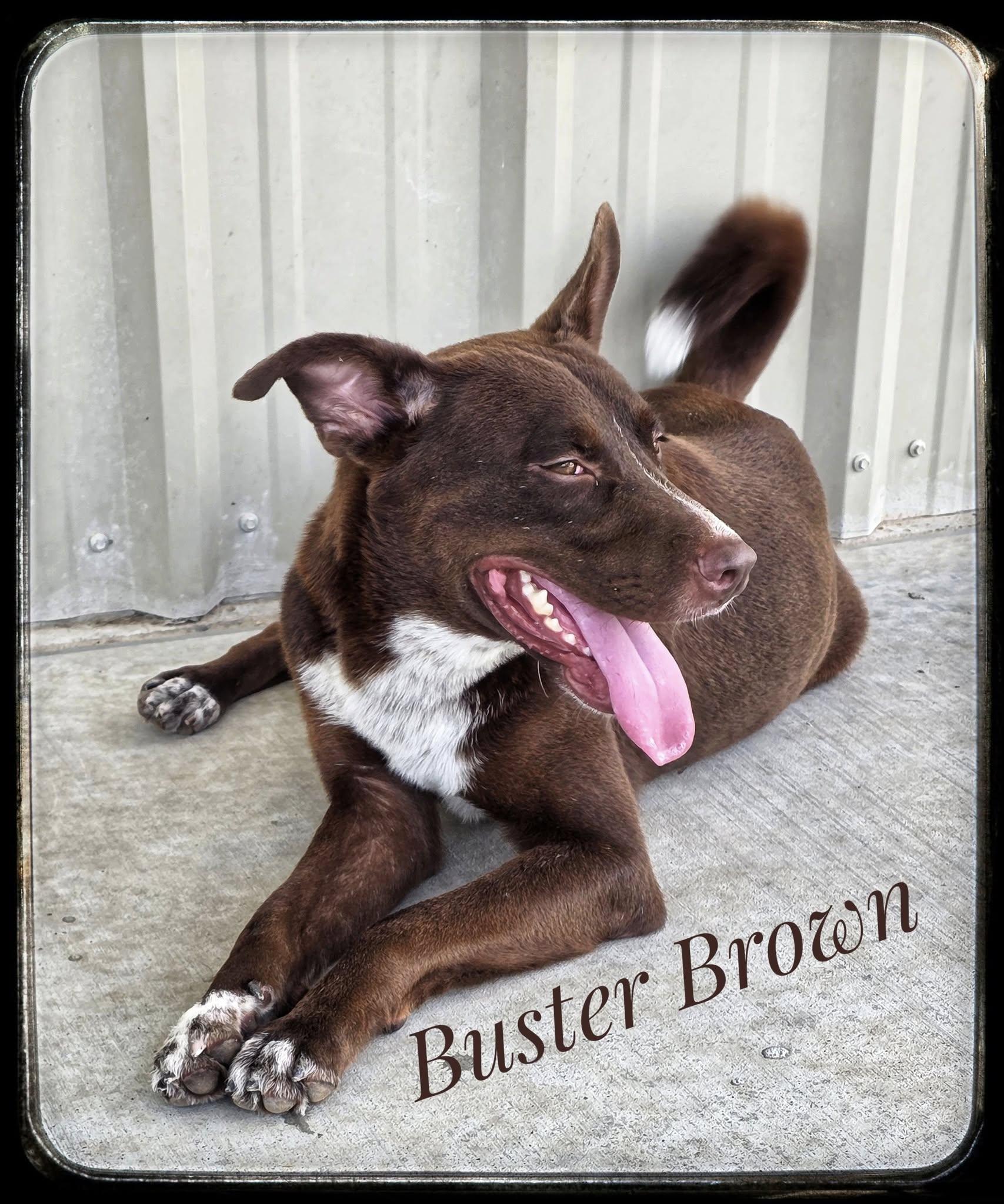Buster Brown