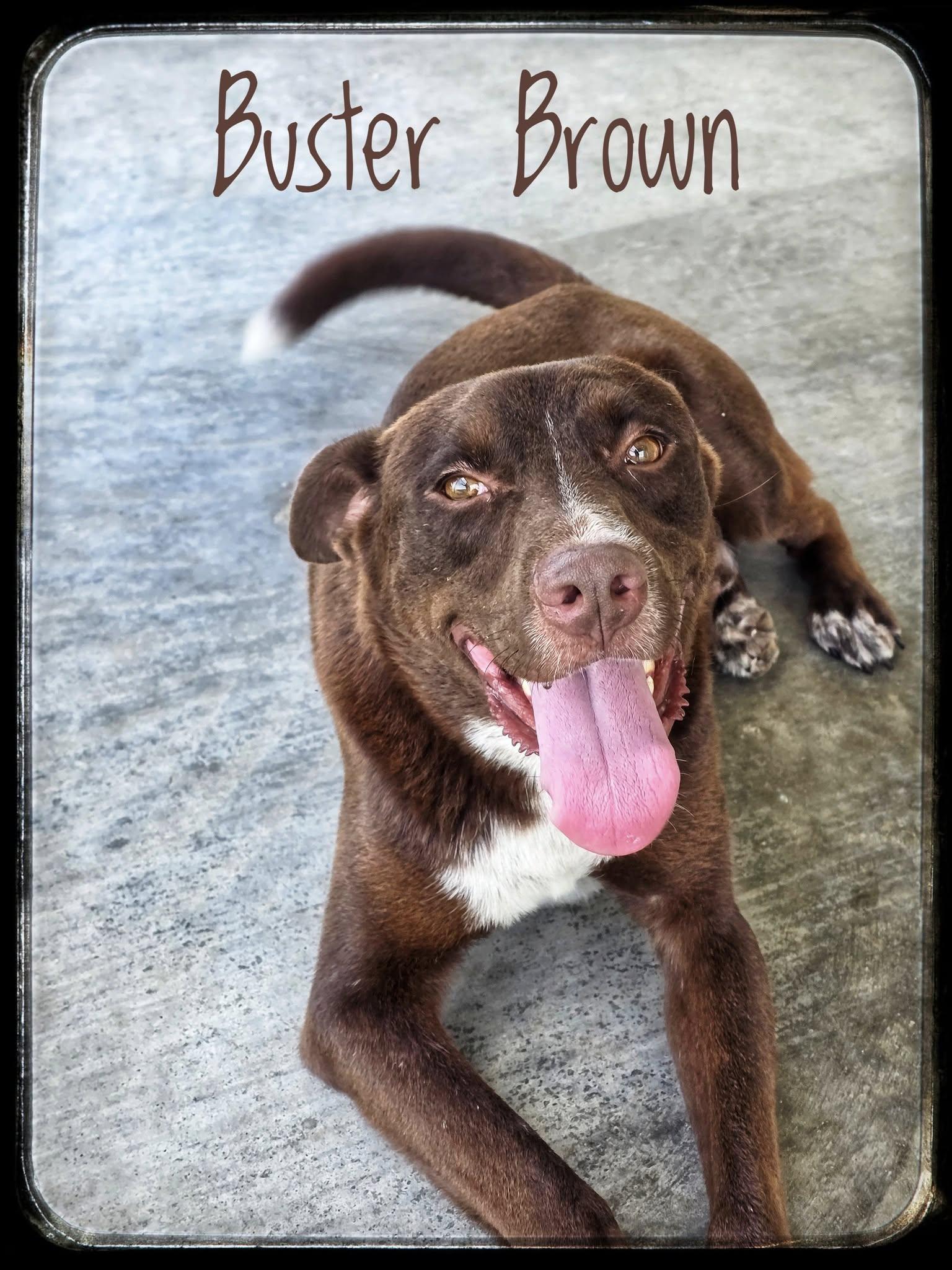 Buster Brown