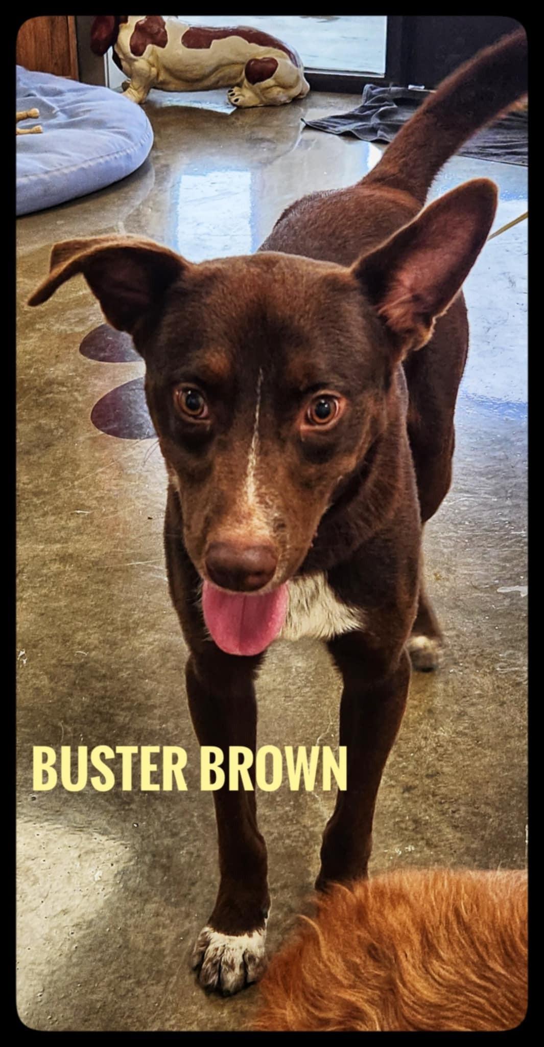 Buster Brown