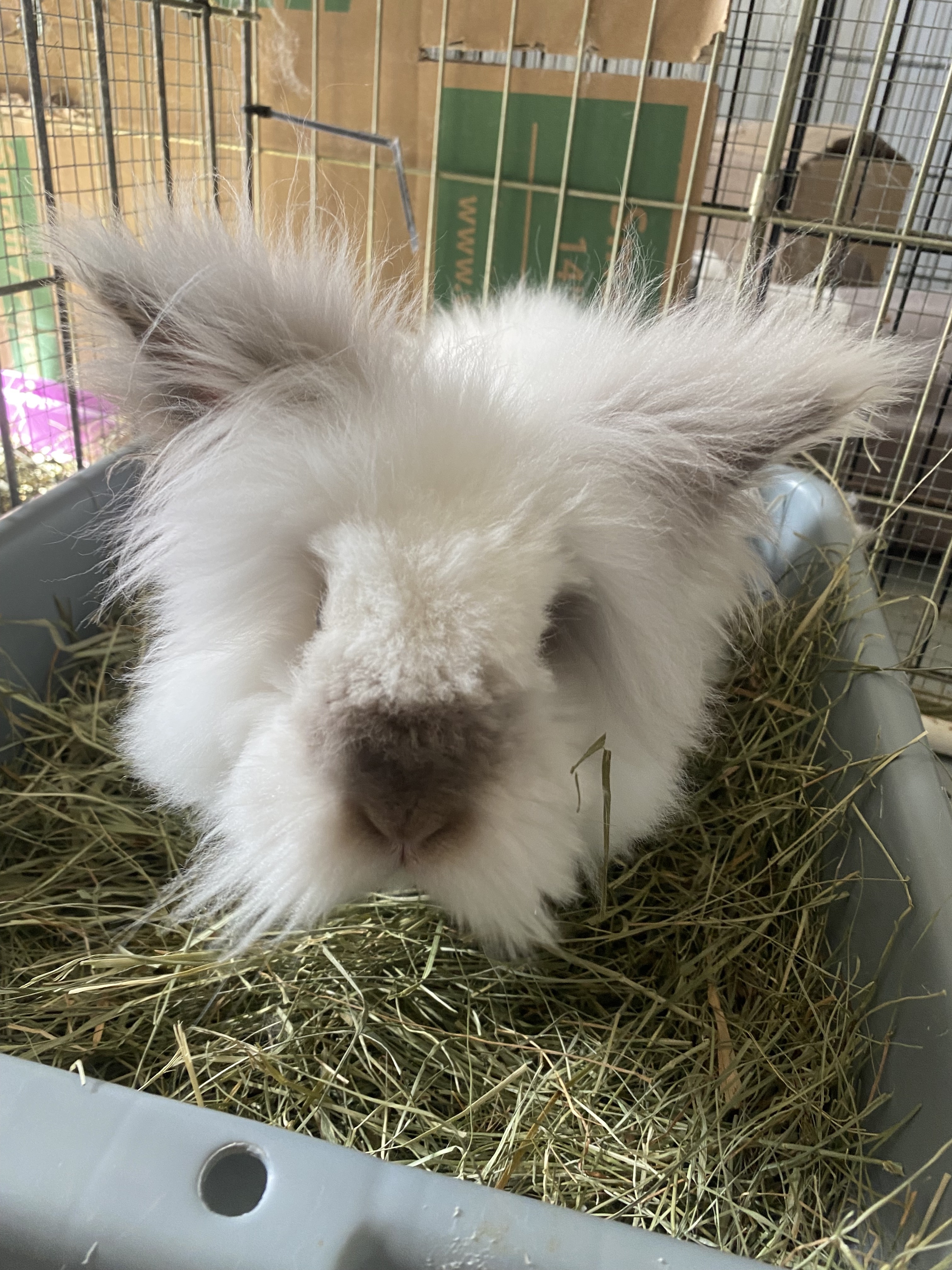 Francesca and Fiona 4