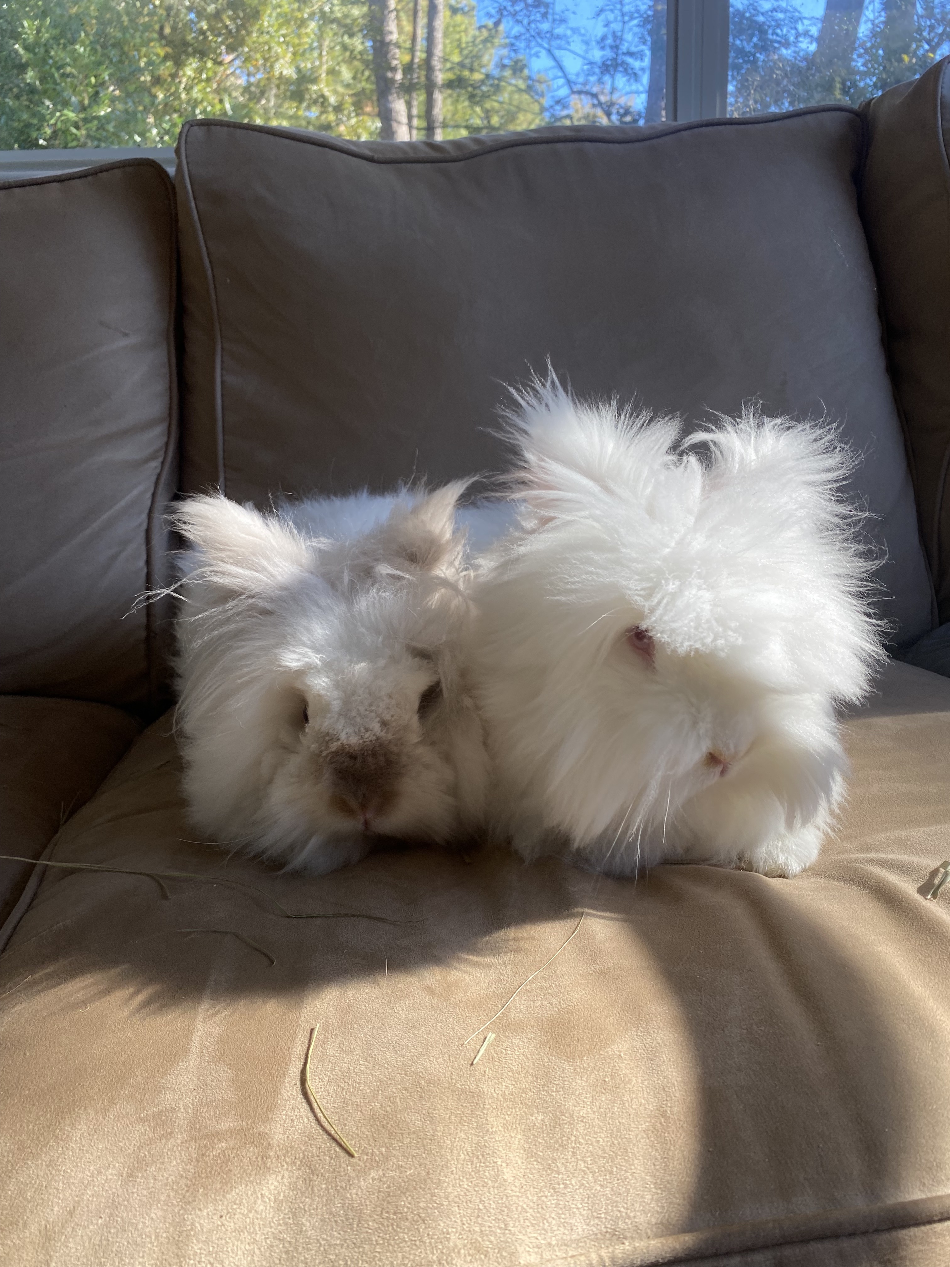 Francesca and Fiona 3