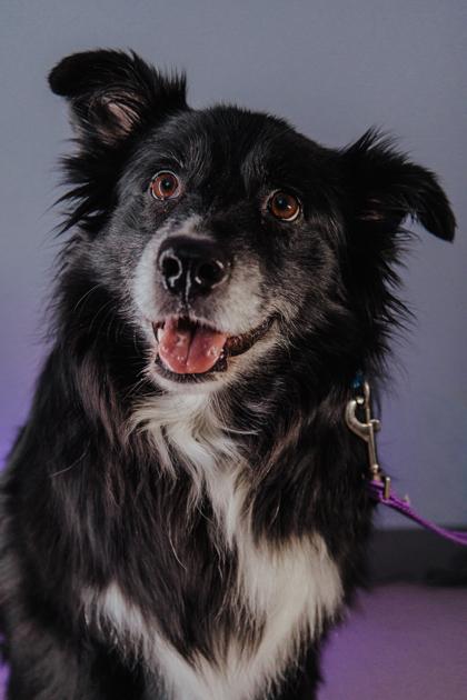 Ramsay — thumbnail 3