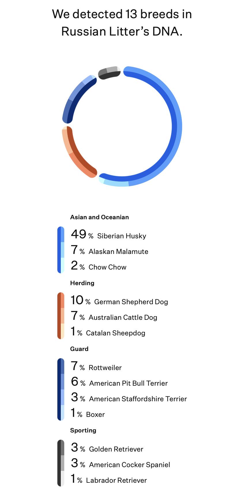 Enlarge Svetlana (Russian litter), a Adoptable mixed breed in Silvana, WA image 6/6