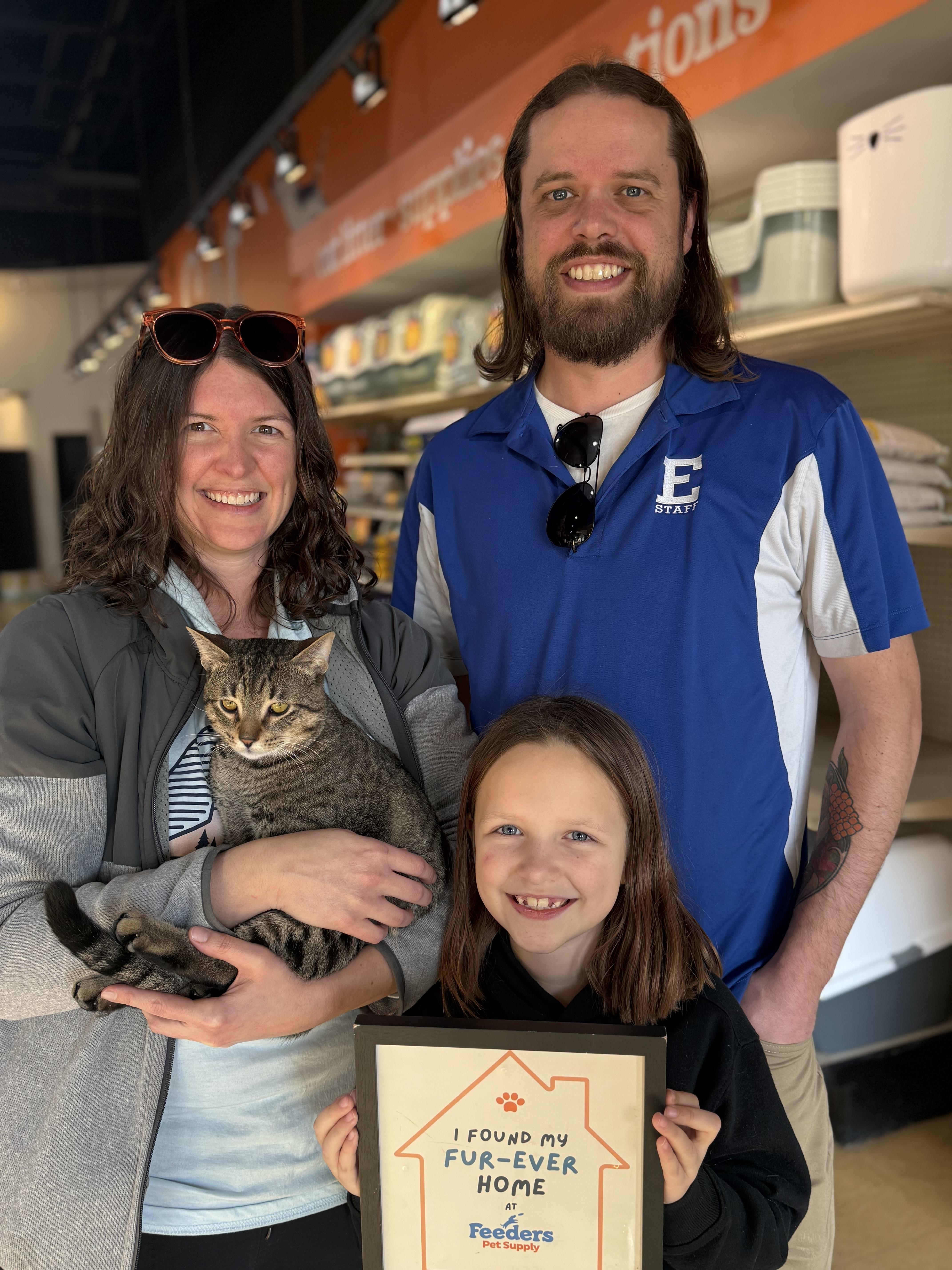 Enlarge Peanut, an adopted Domestic Short Hair in Louisville, KY image 2/2