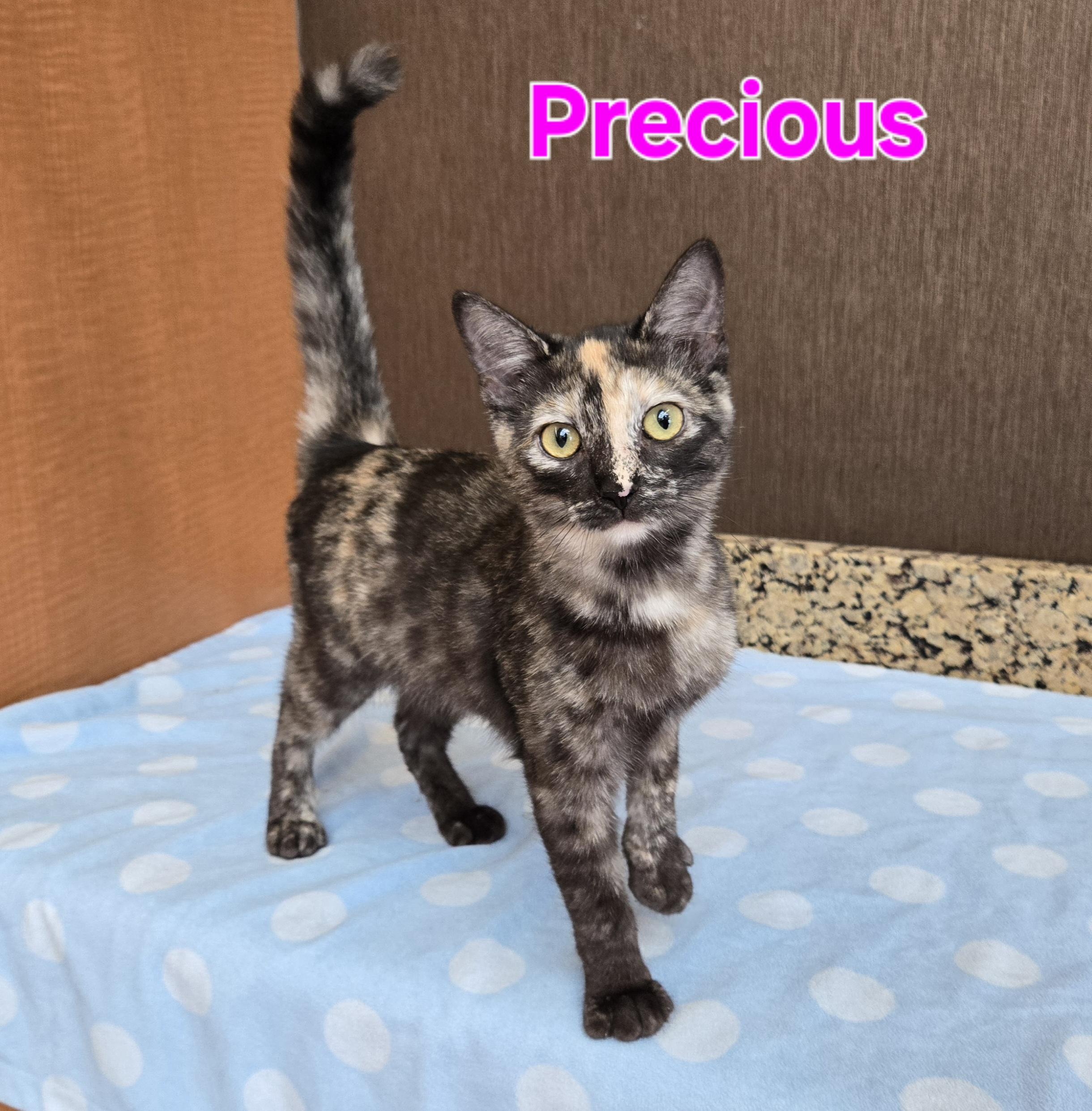 Precious